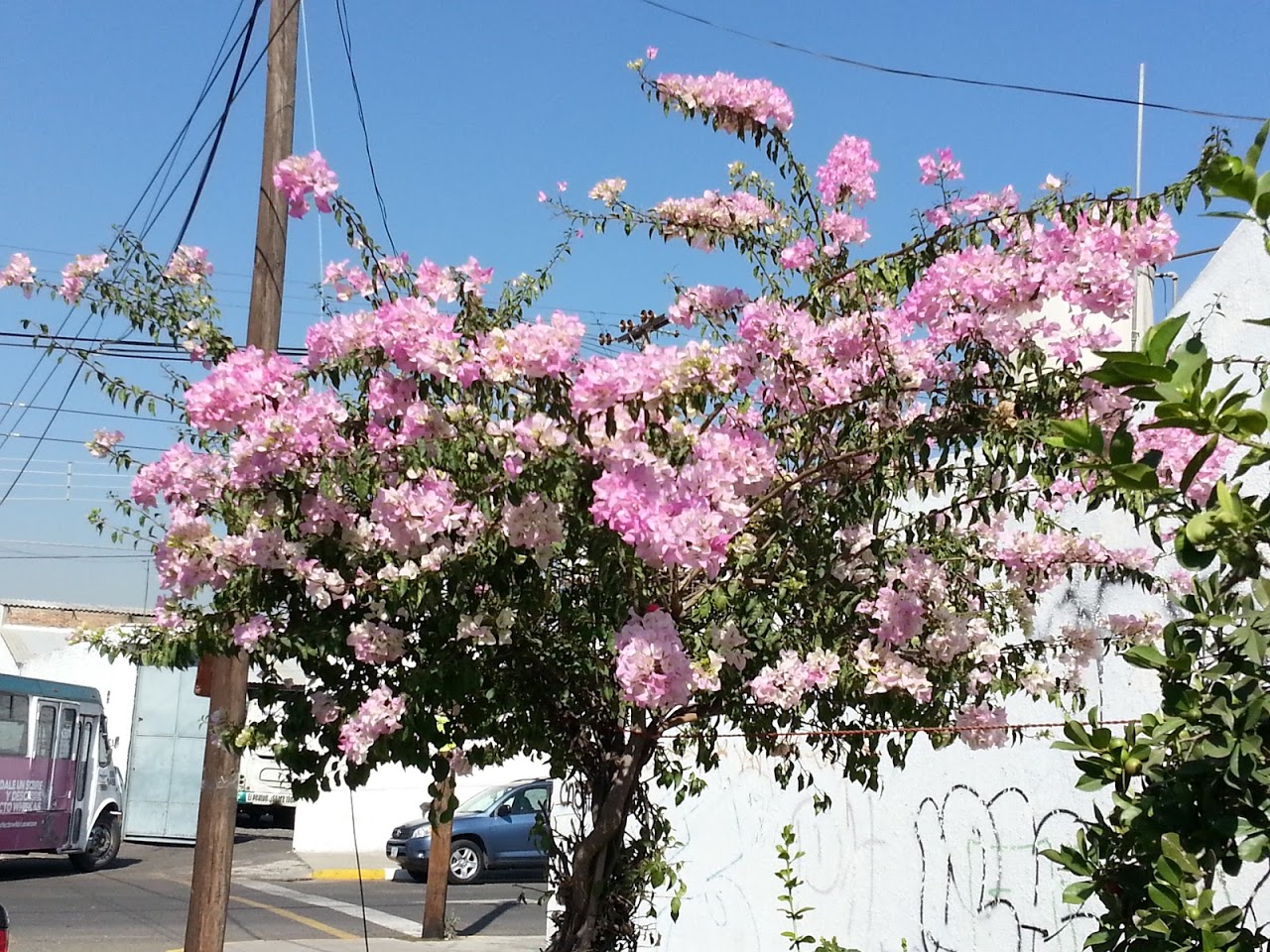 20130212_110005.jpg