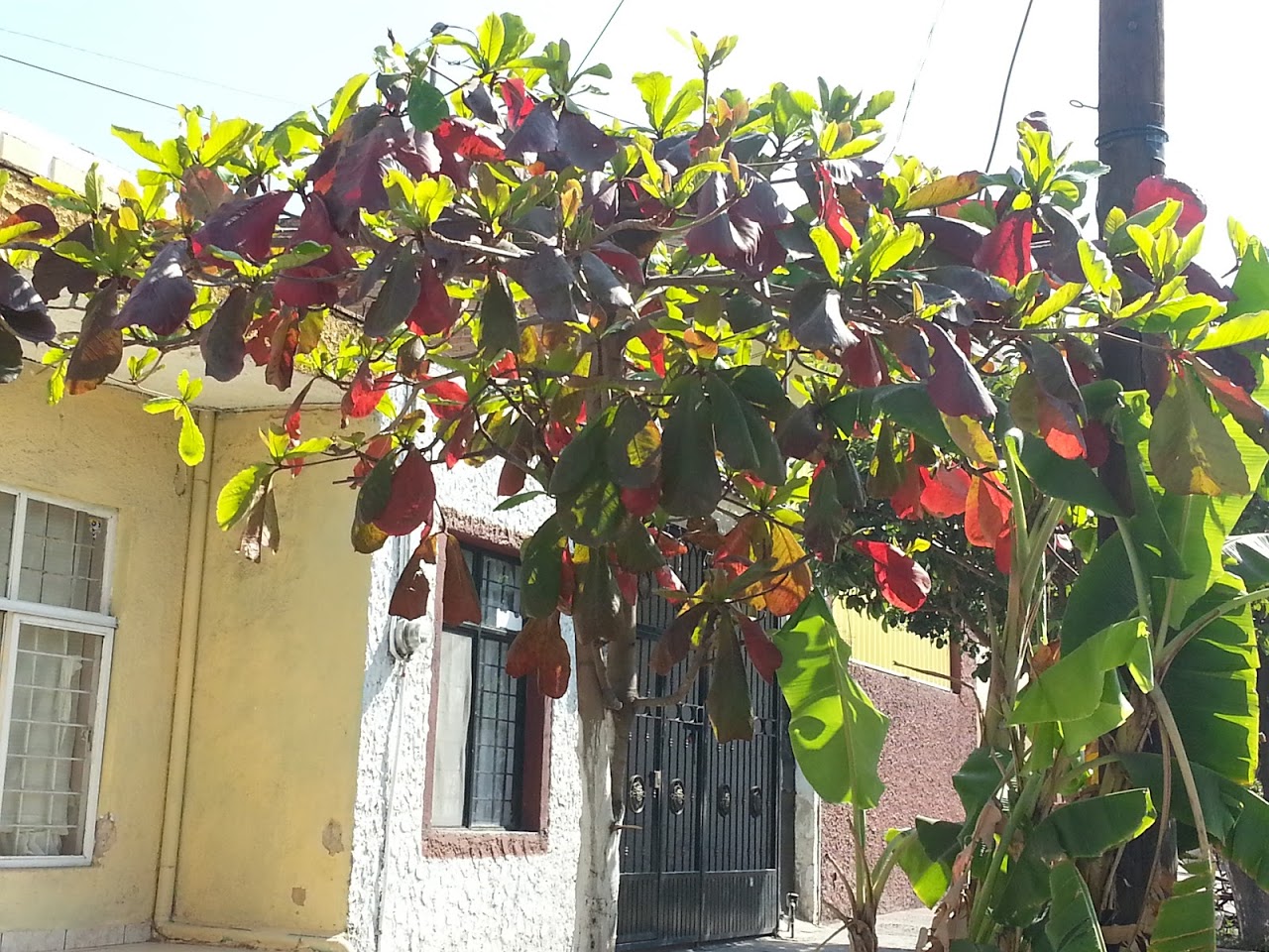 20130212_110734.jpg