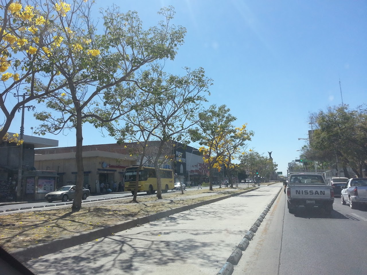 20130214_130157_1.jpg