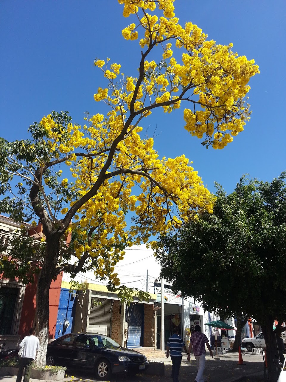 20130214_130625.jpg