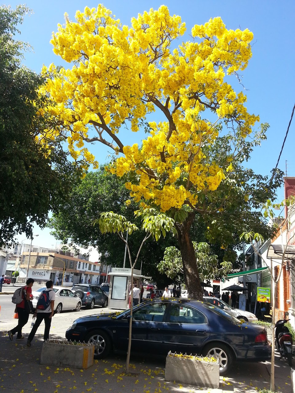 20130214_130720.jpg