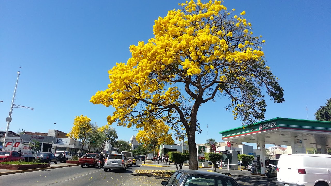 20130214_131255.jpg