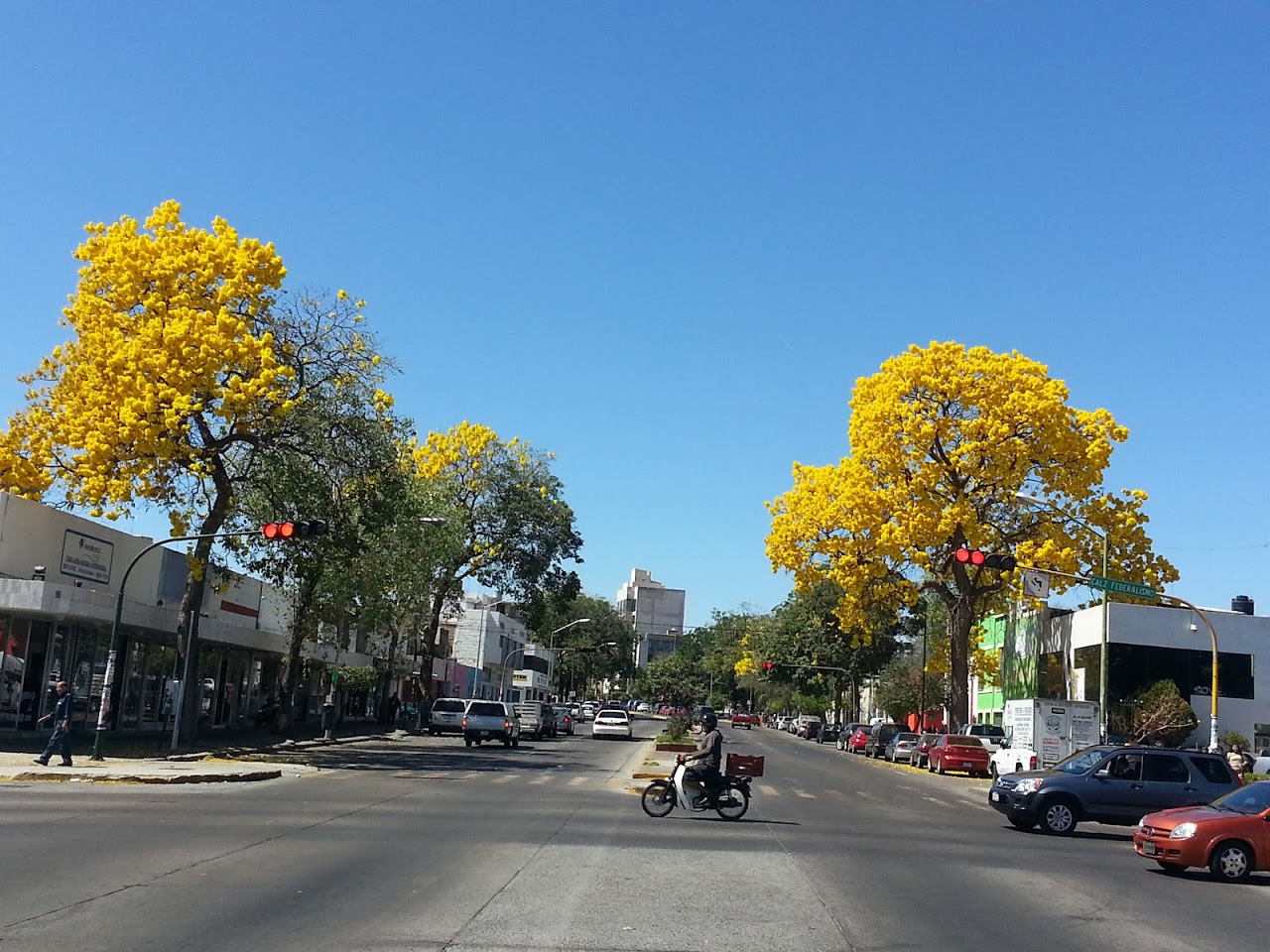 20130214_131452.jpg