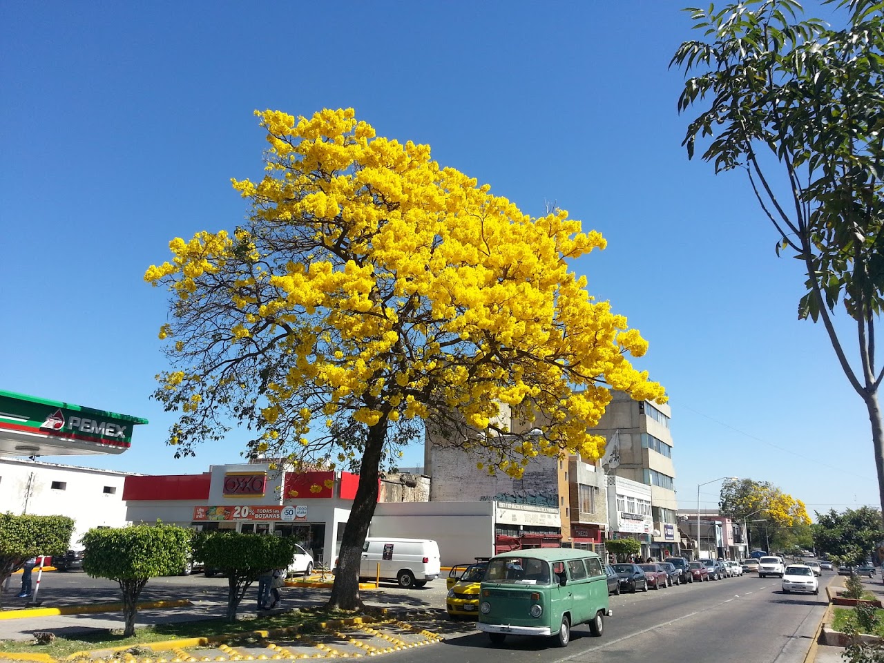 20130214_131528.jpg