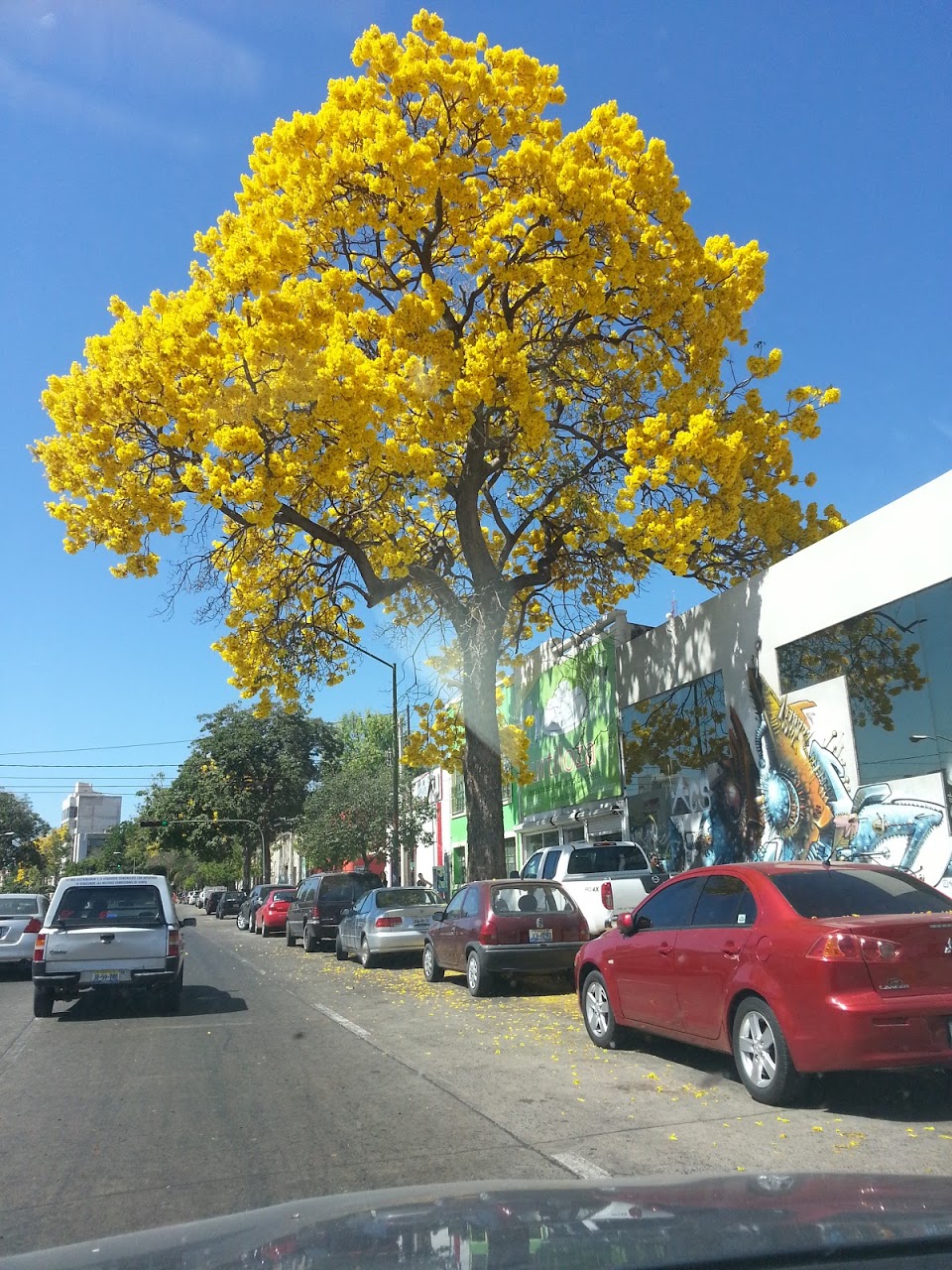 20130214_131927_12.jpg