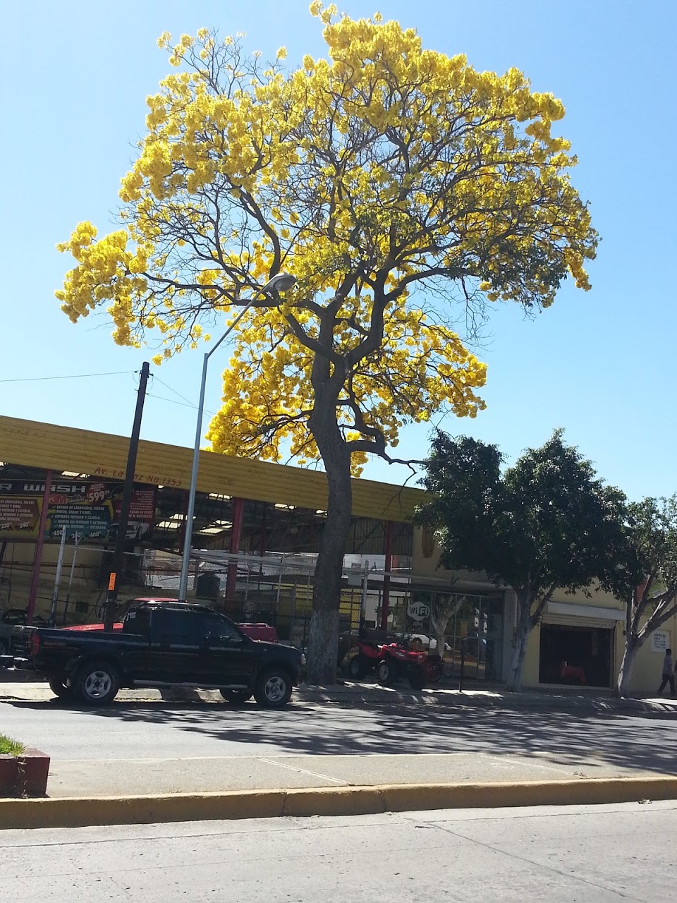 20130214_132015_1.jpg