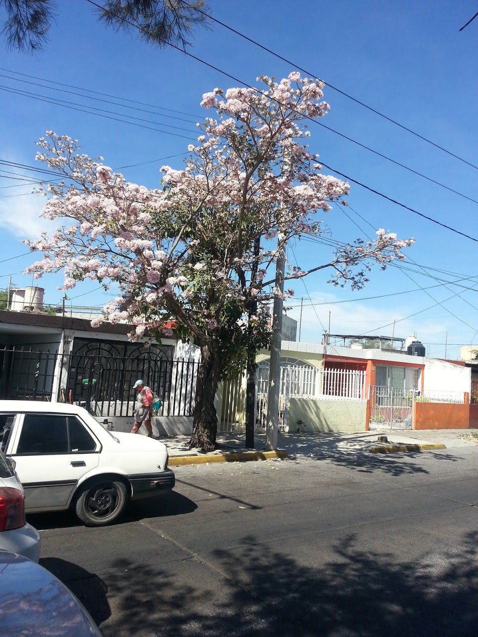 20130214_143324.jpg
