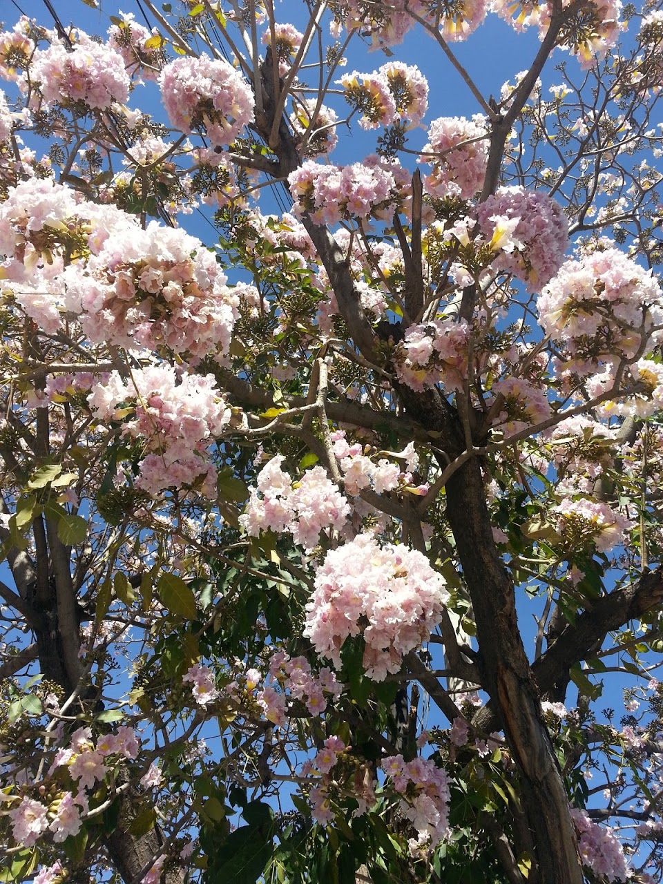 20130214_143349.jpg