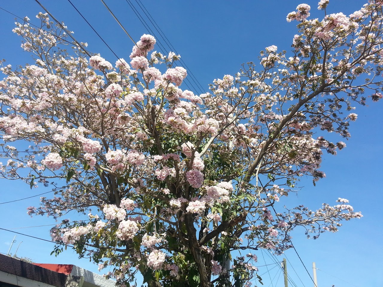 20130214_143412.jpg