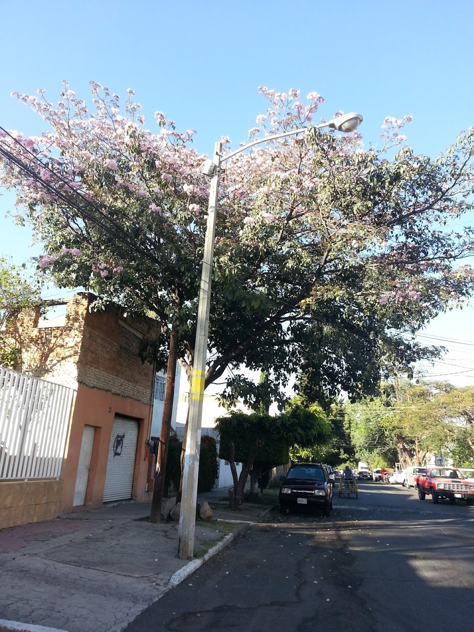 20130214_171622.jpg
