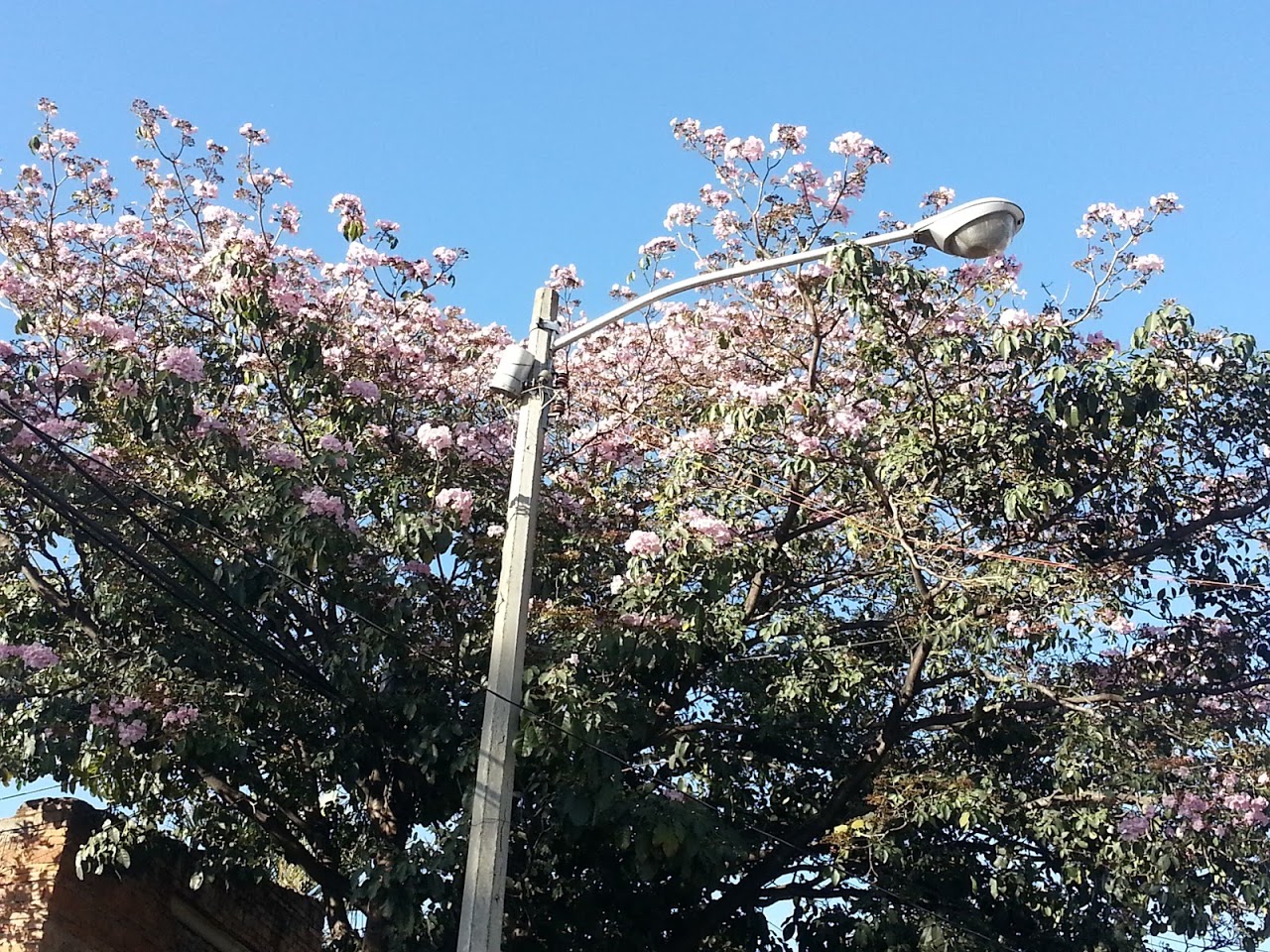 20130214_171629.jpg