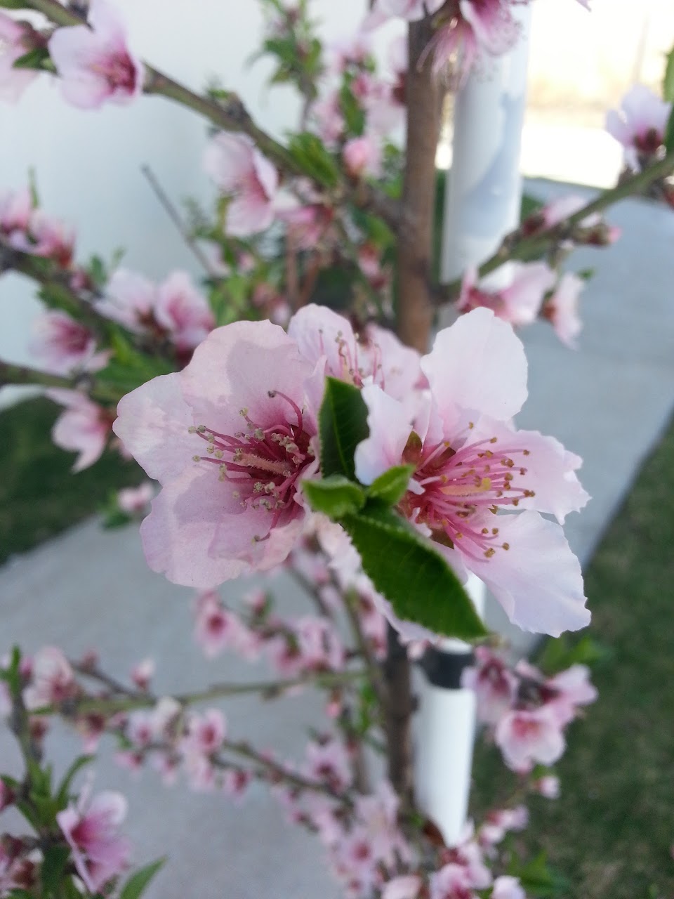 20130222_110642.jpg