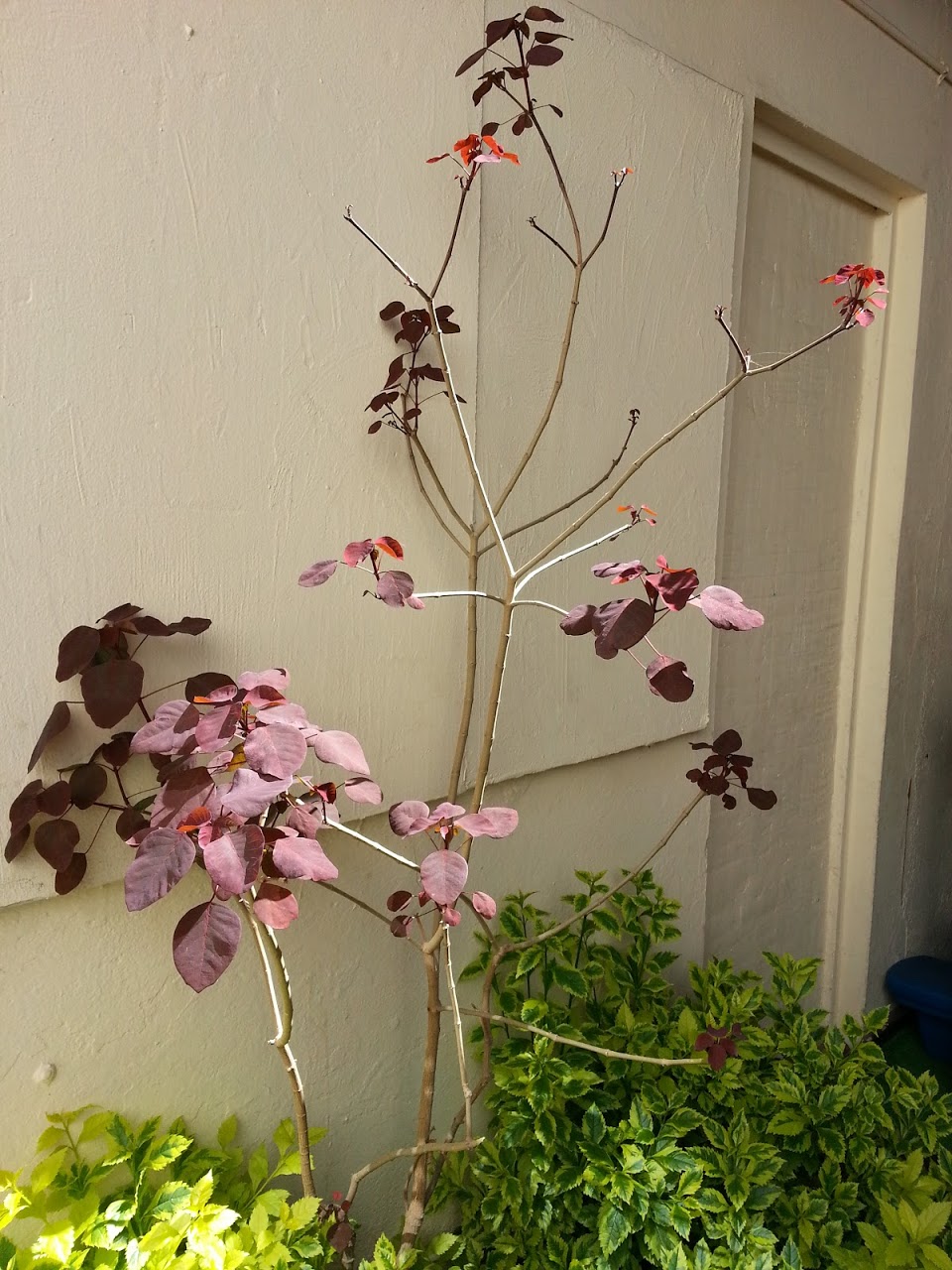 20130227_141622.jpg