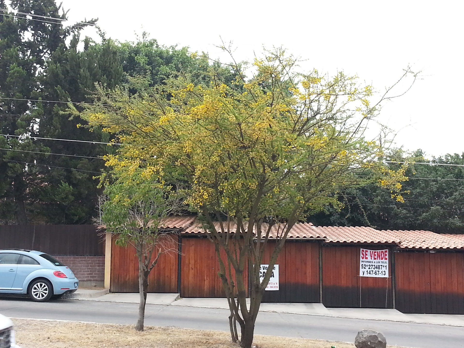 20130301_123633.jpg