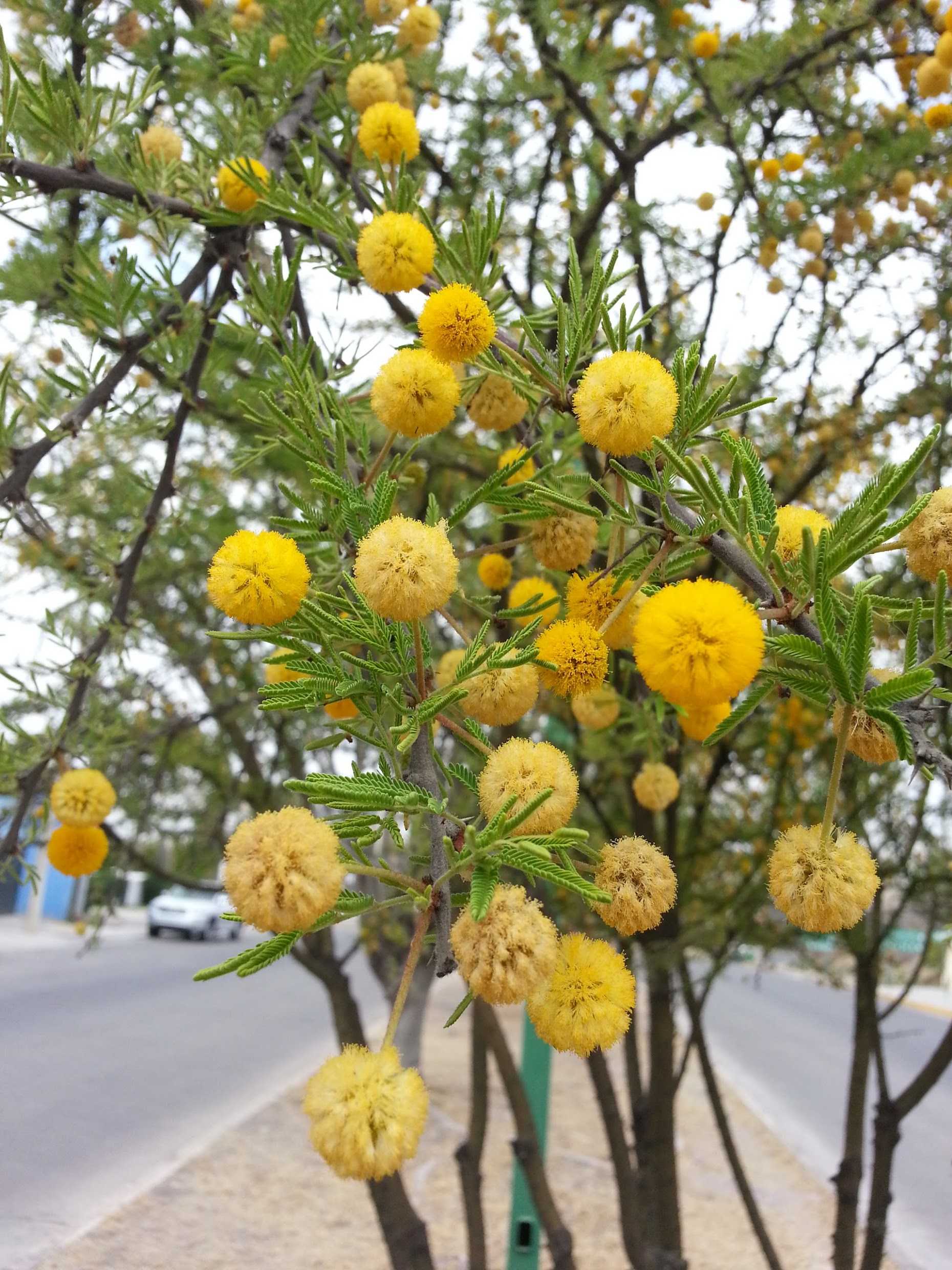 20130301_123802.jpg