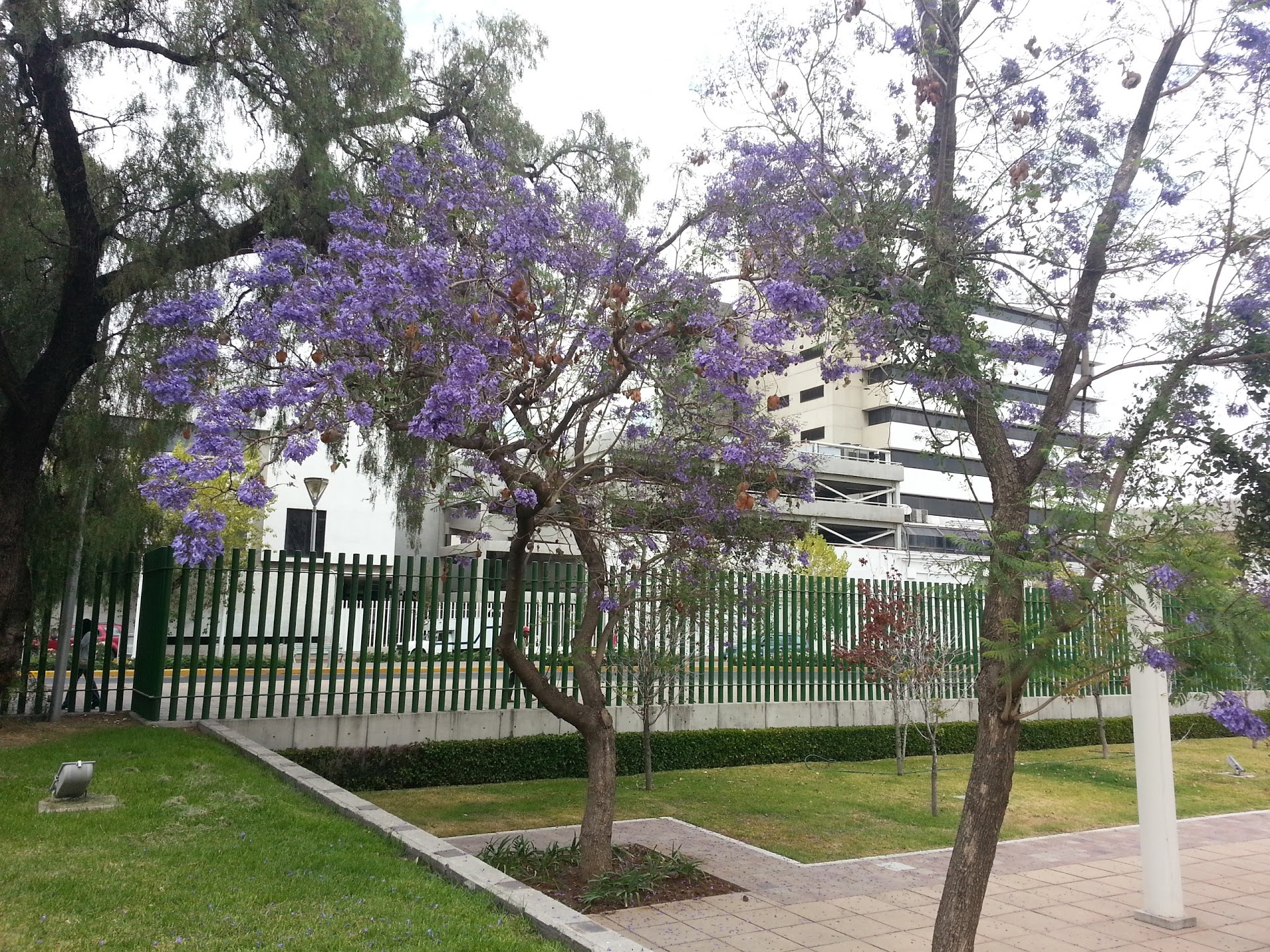 20130301_152634.jpg