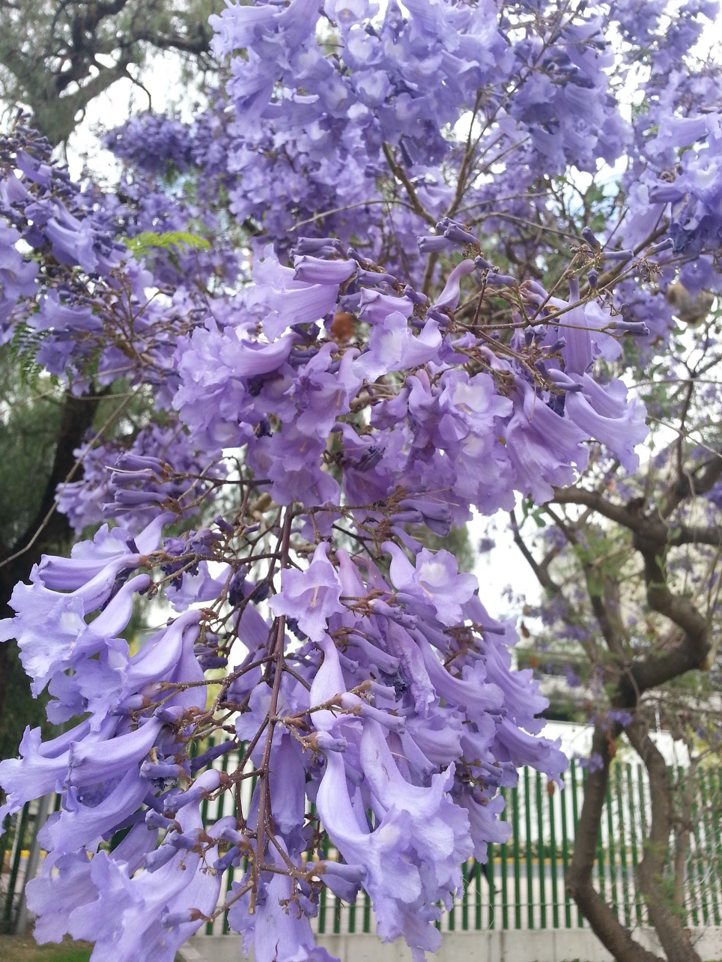 20130301_152733.jpg