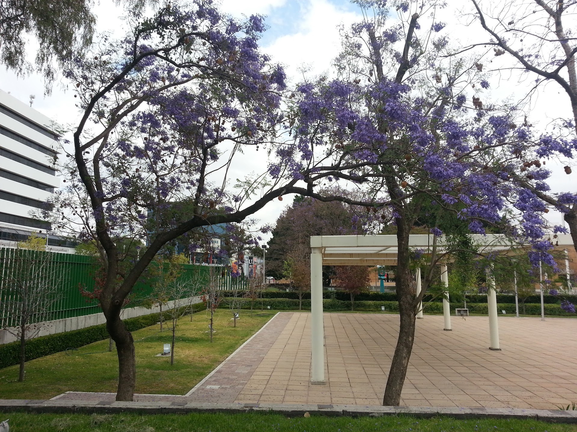 20130301_152759.jpg