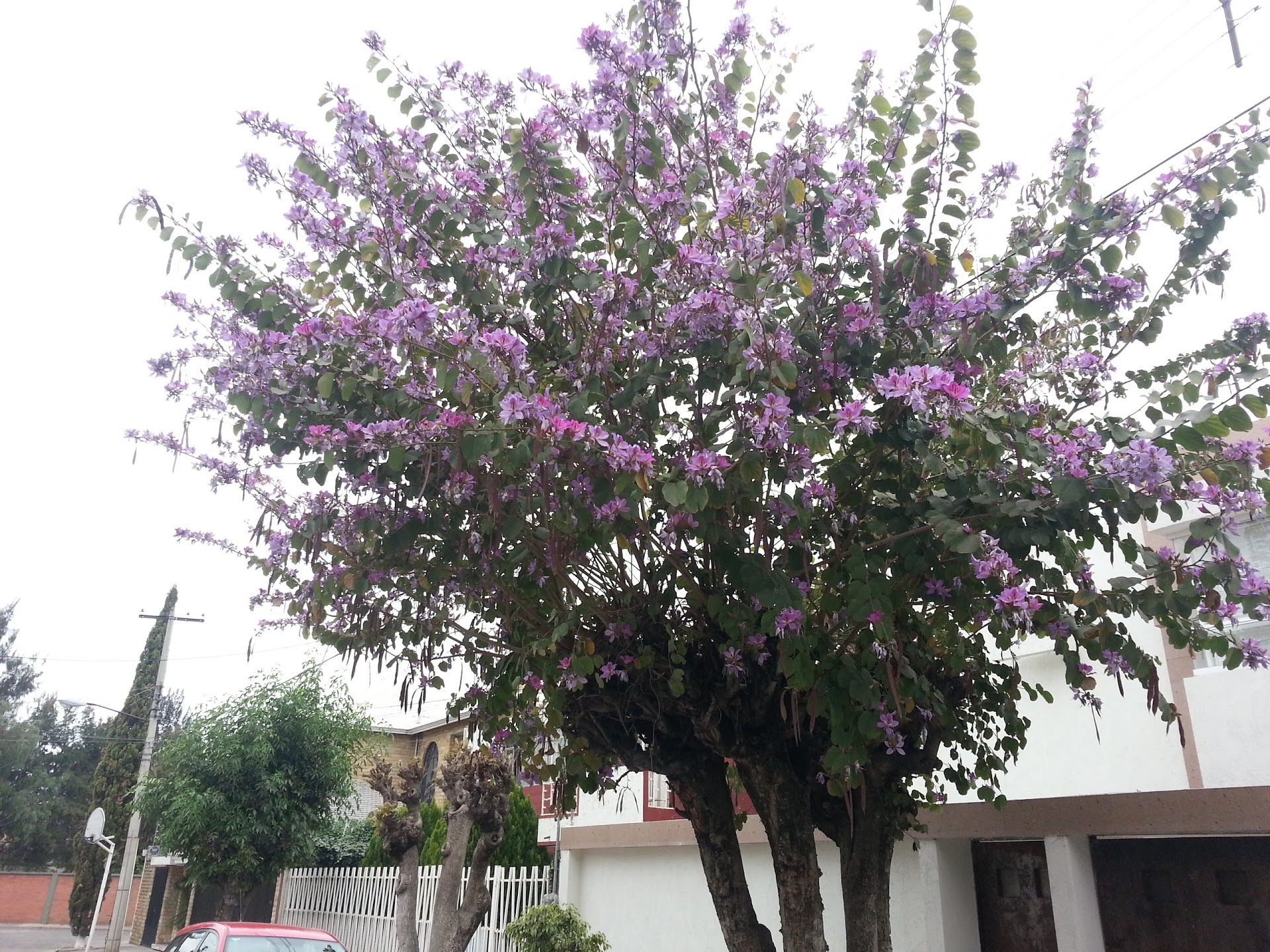 20130308_152820.jpg