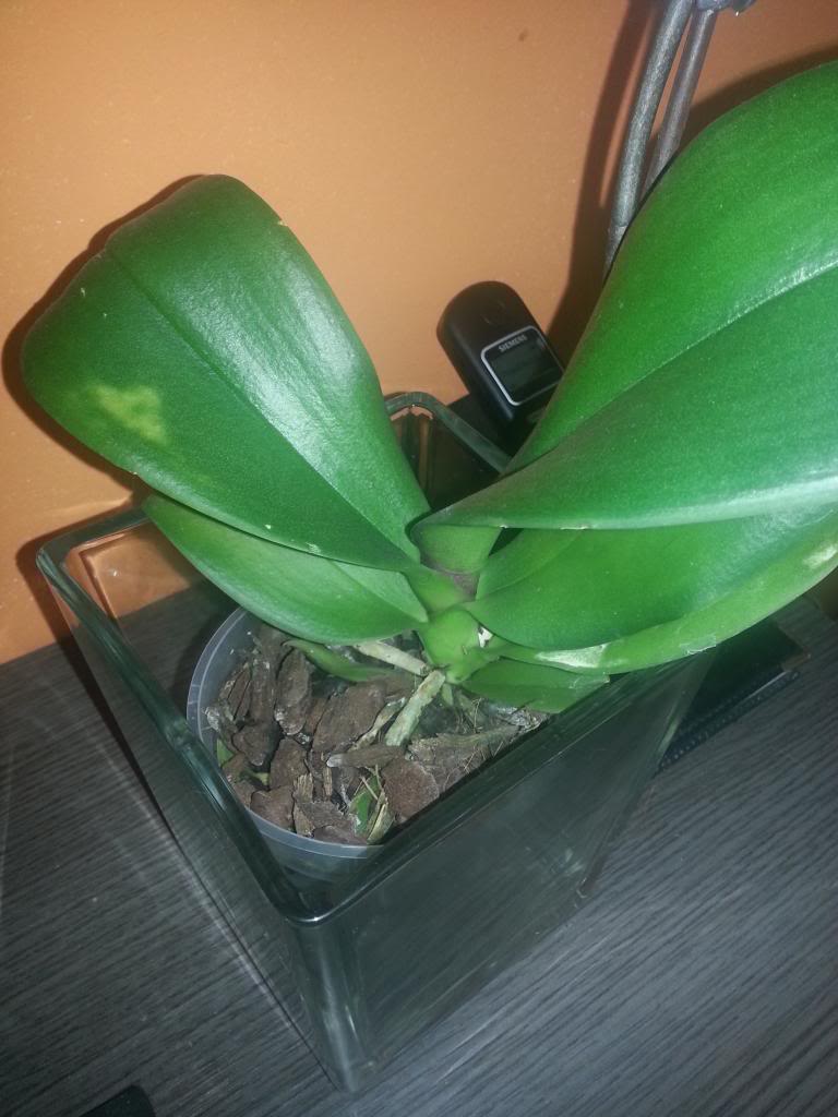 20130313_143547.jpg