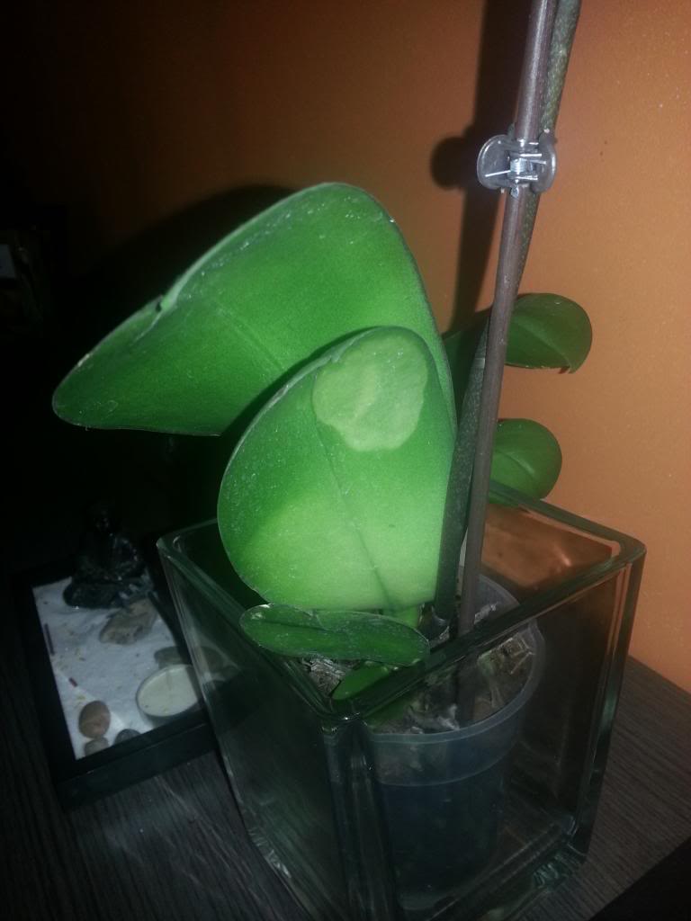 20130313_143554.jpg