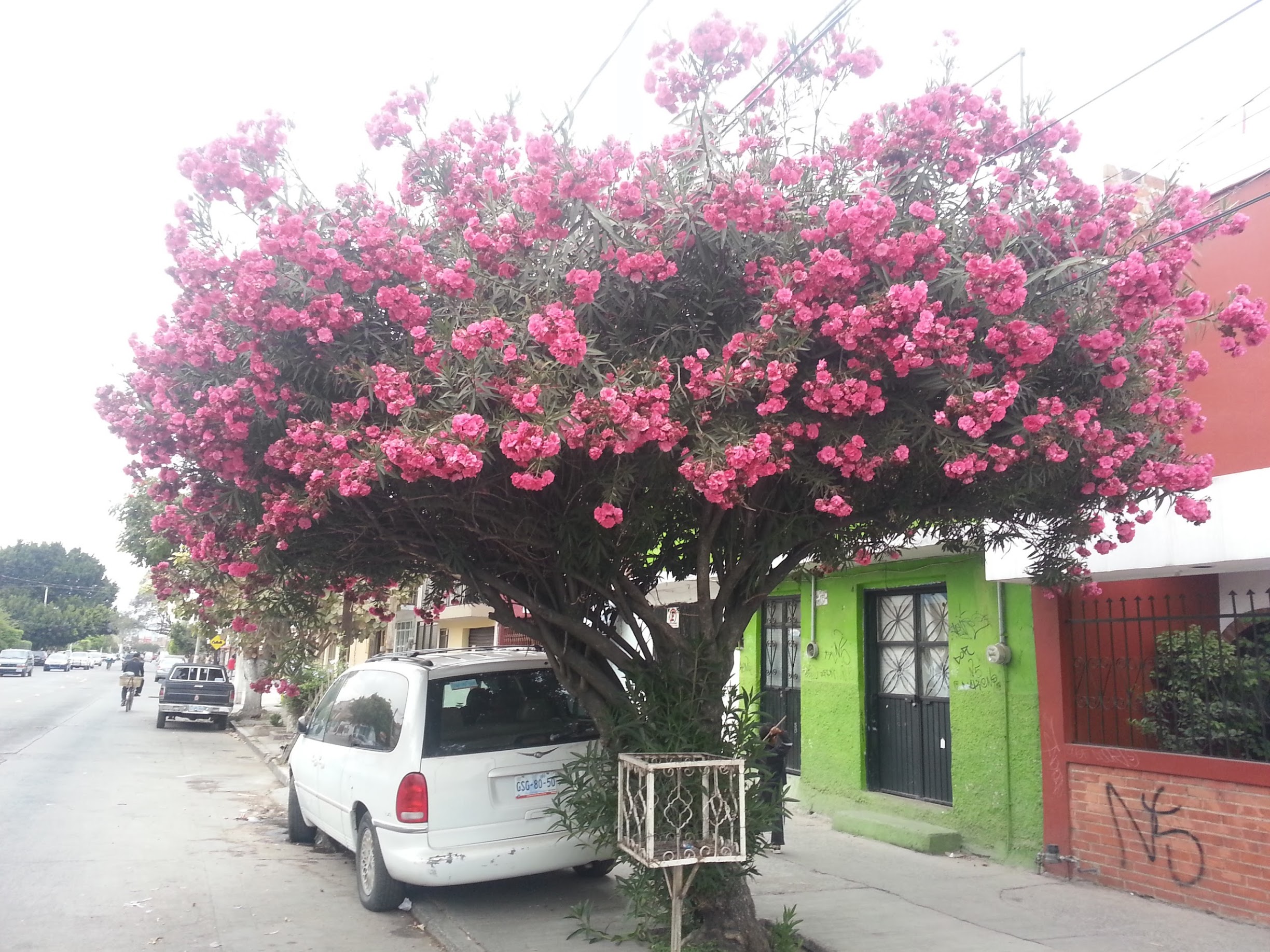 20130315_173938.jpg
