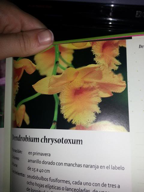 20130319_084516.jpg