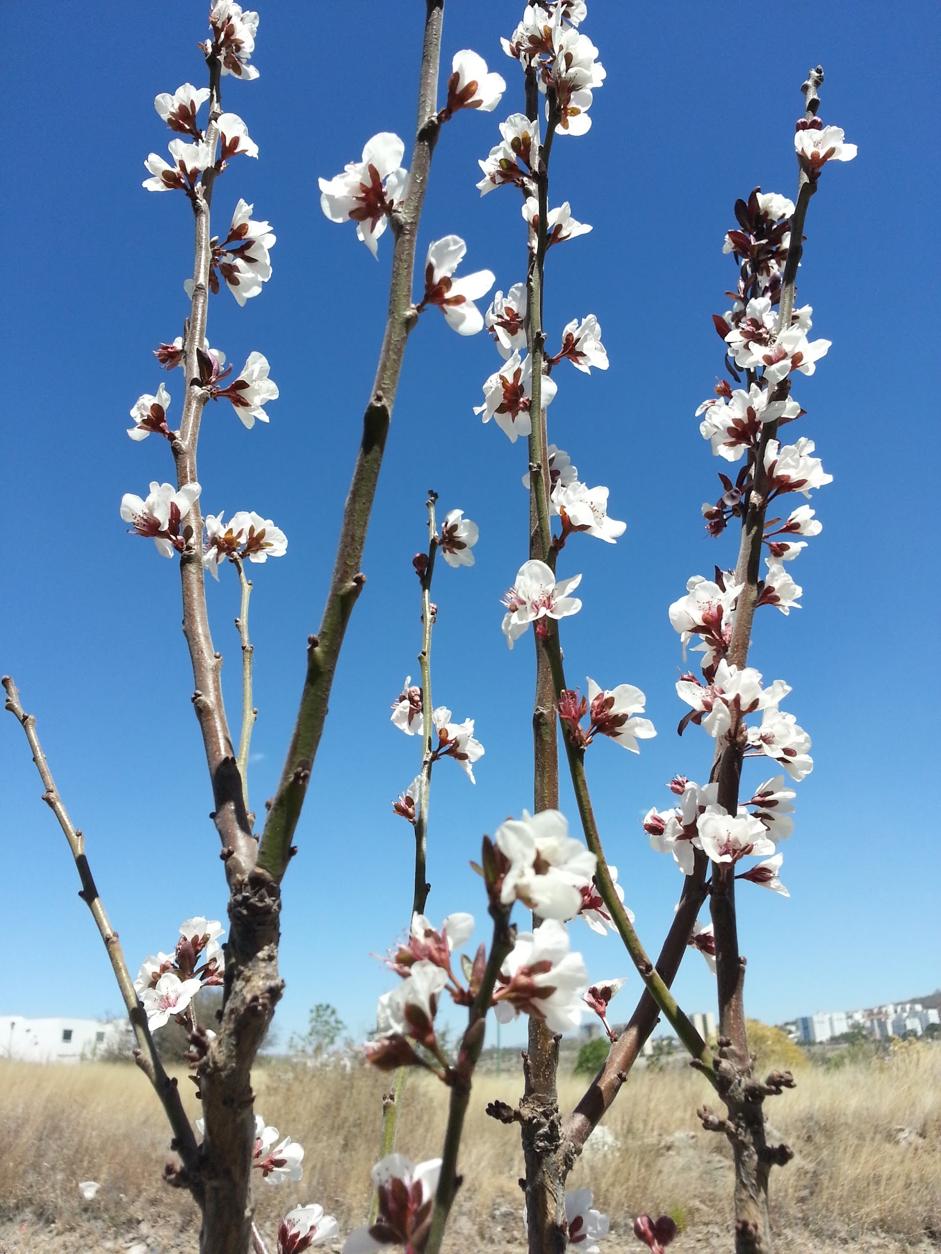 20130322_121100.jpg