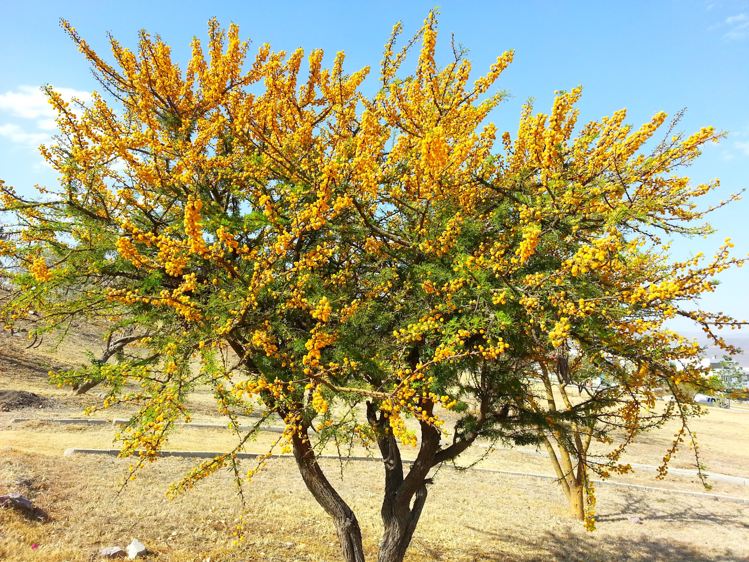 20130322_160758.jpg