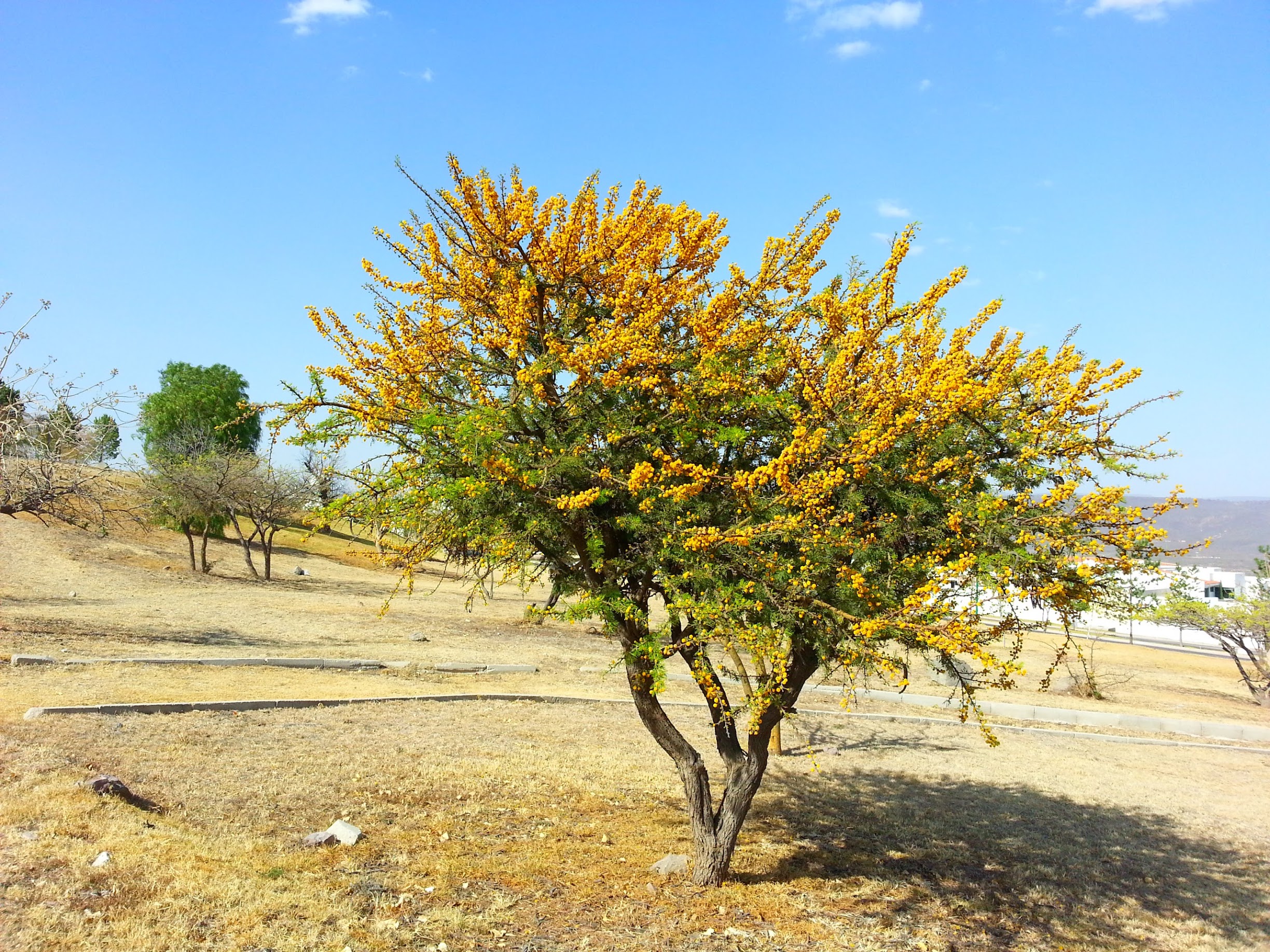 20130322_160920.jpg
