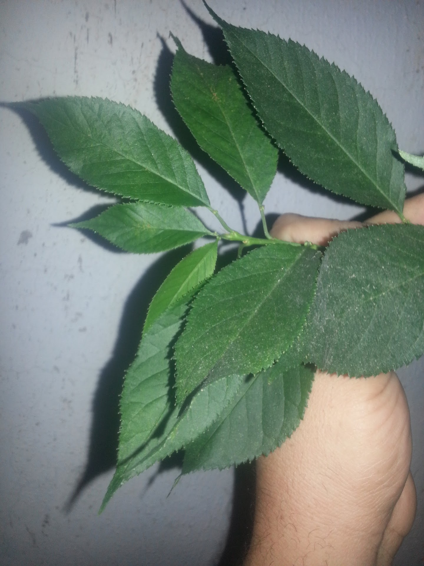 20130322_215717.jpg