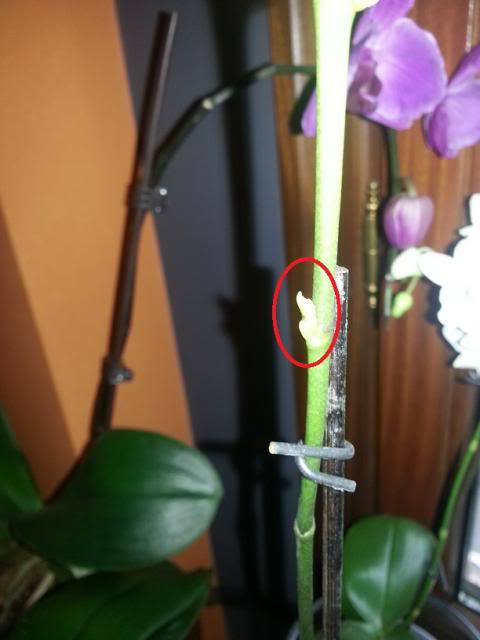 20130330_103526.jpg