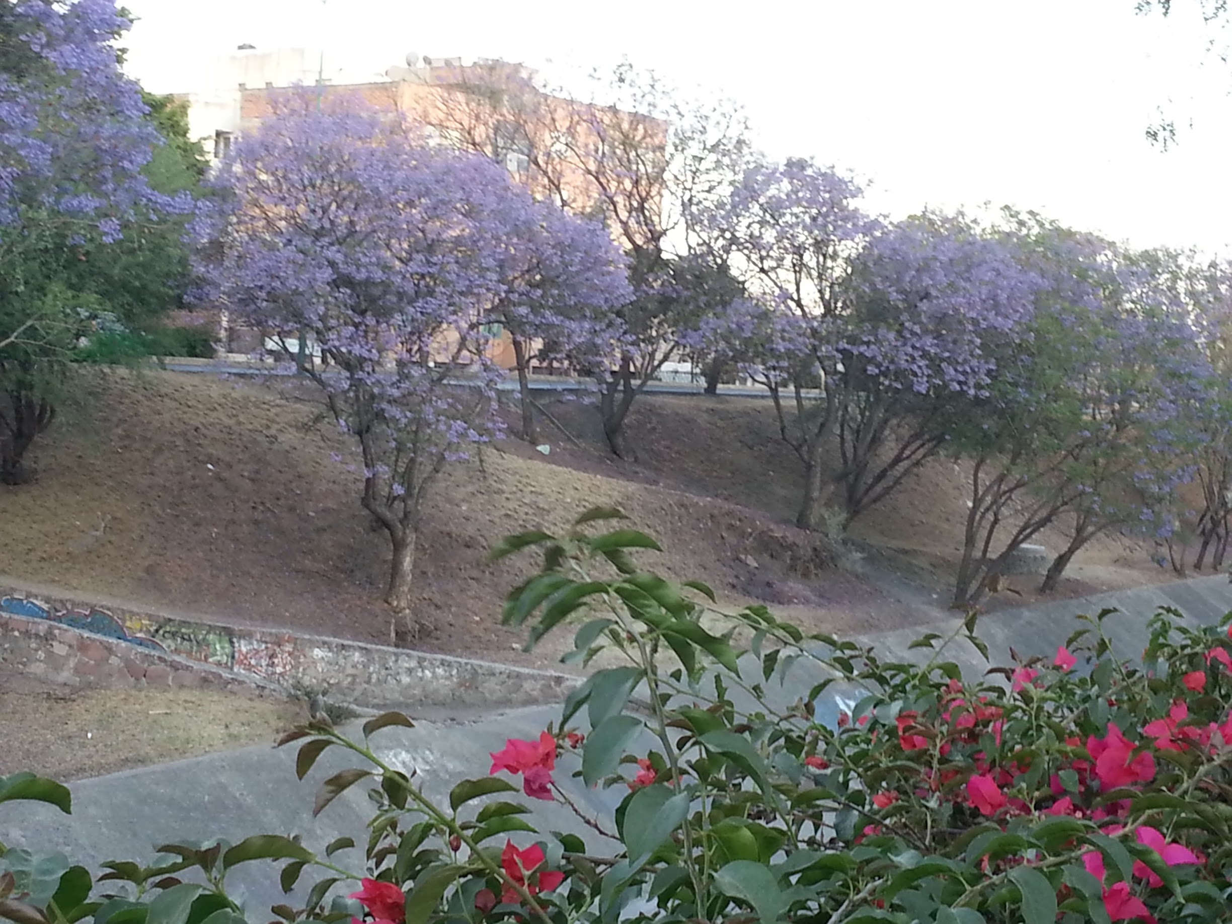 20130330_183947.jpg