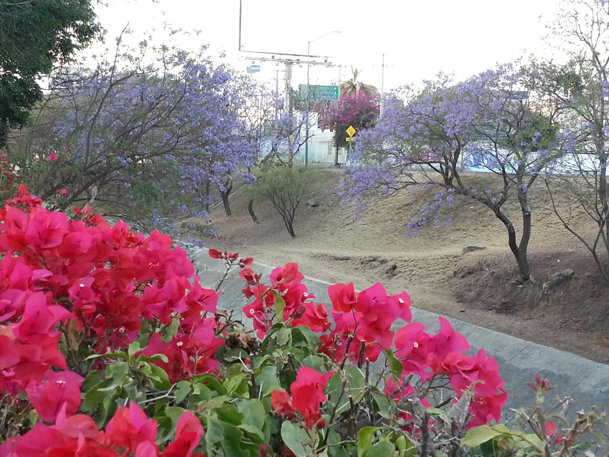 20130330_184013.jpg