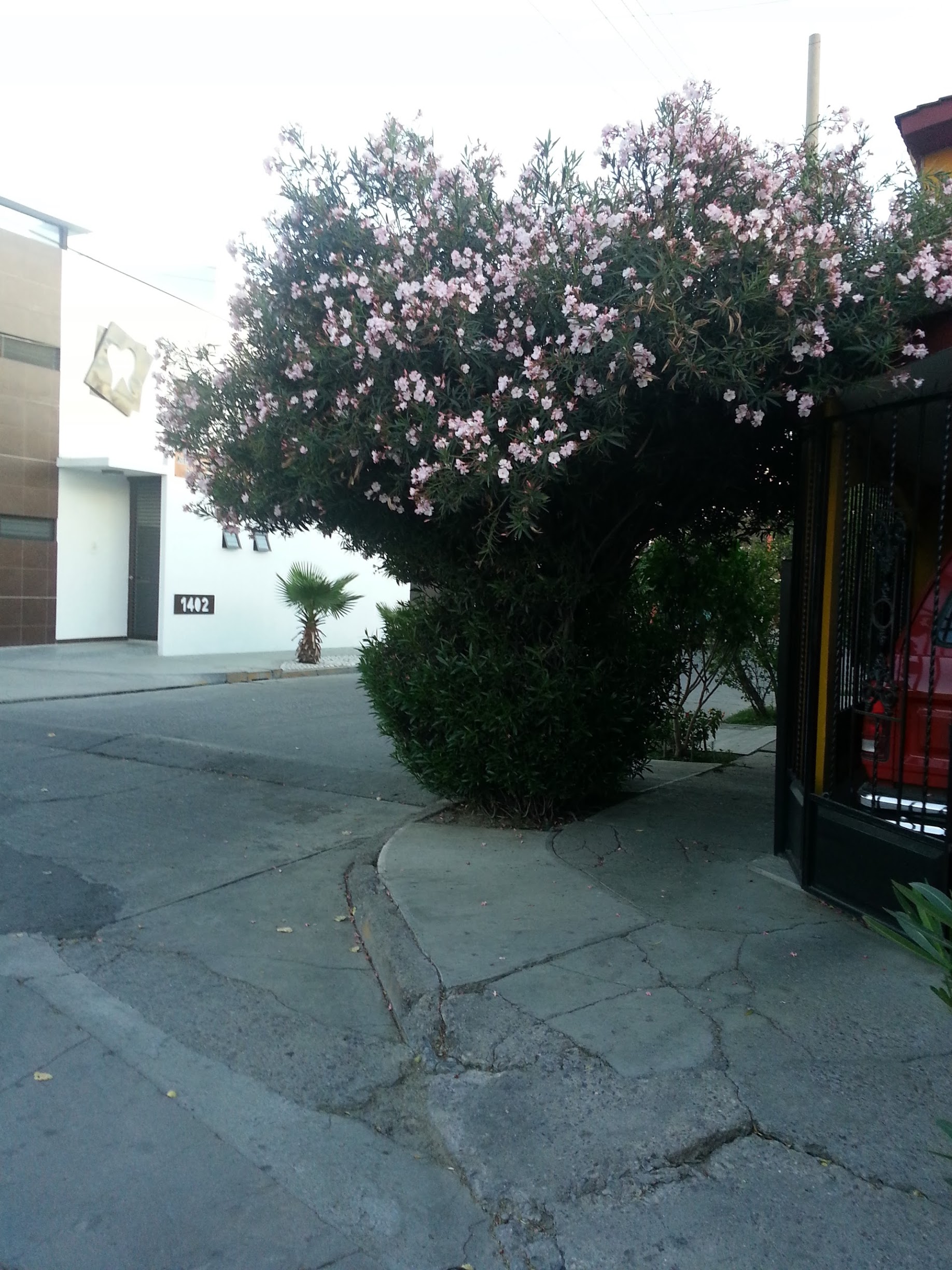 20130330_185225.jpg
