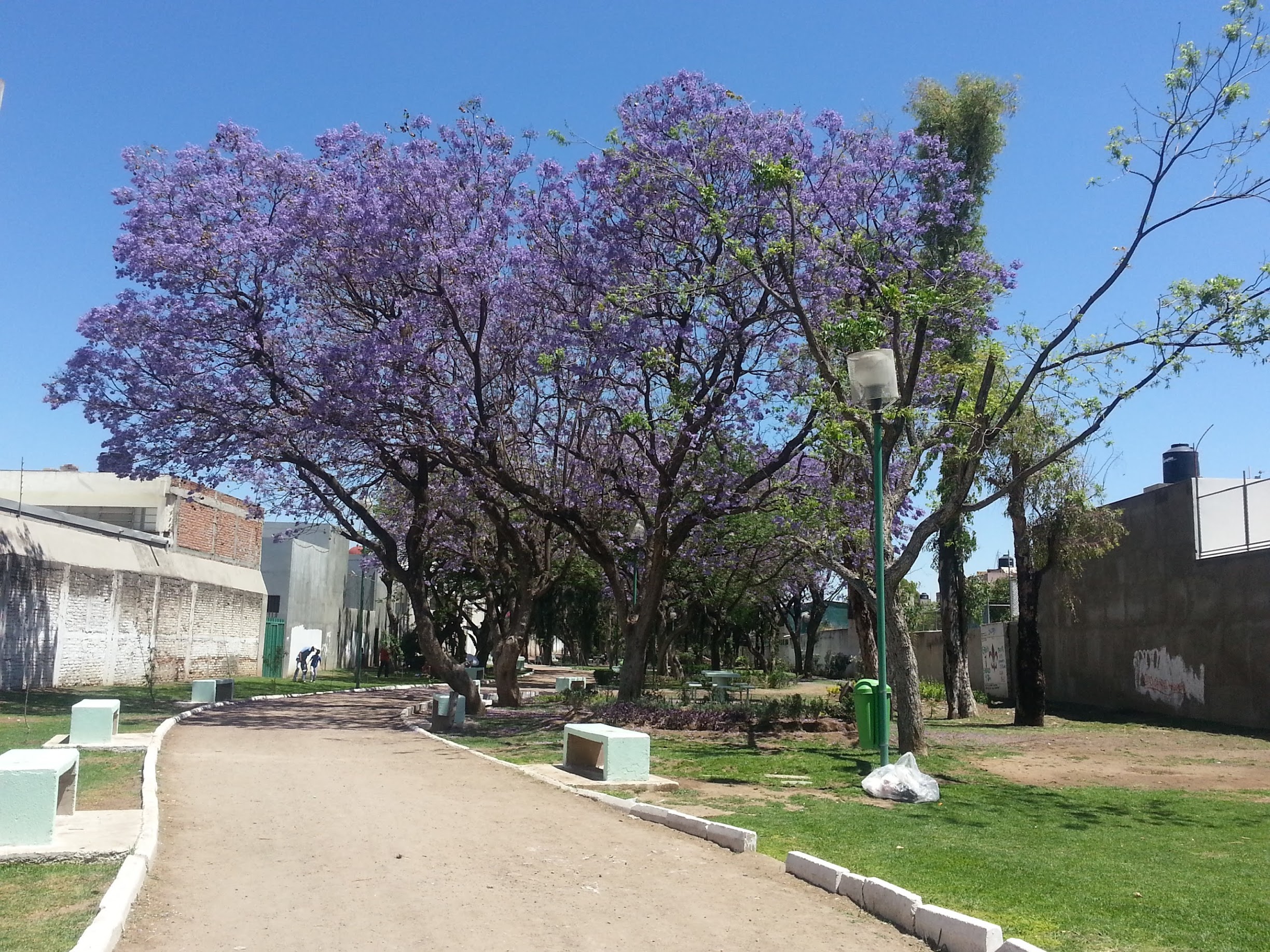 20130331_133544.jpg