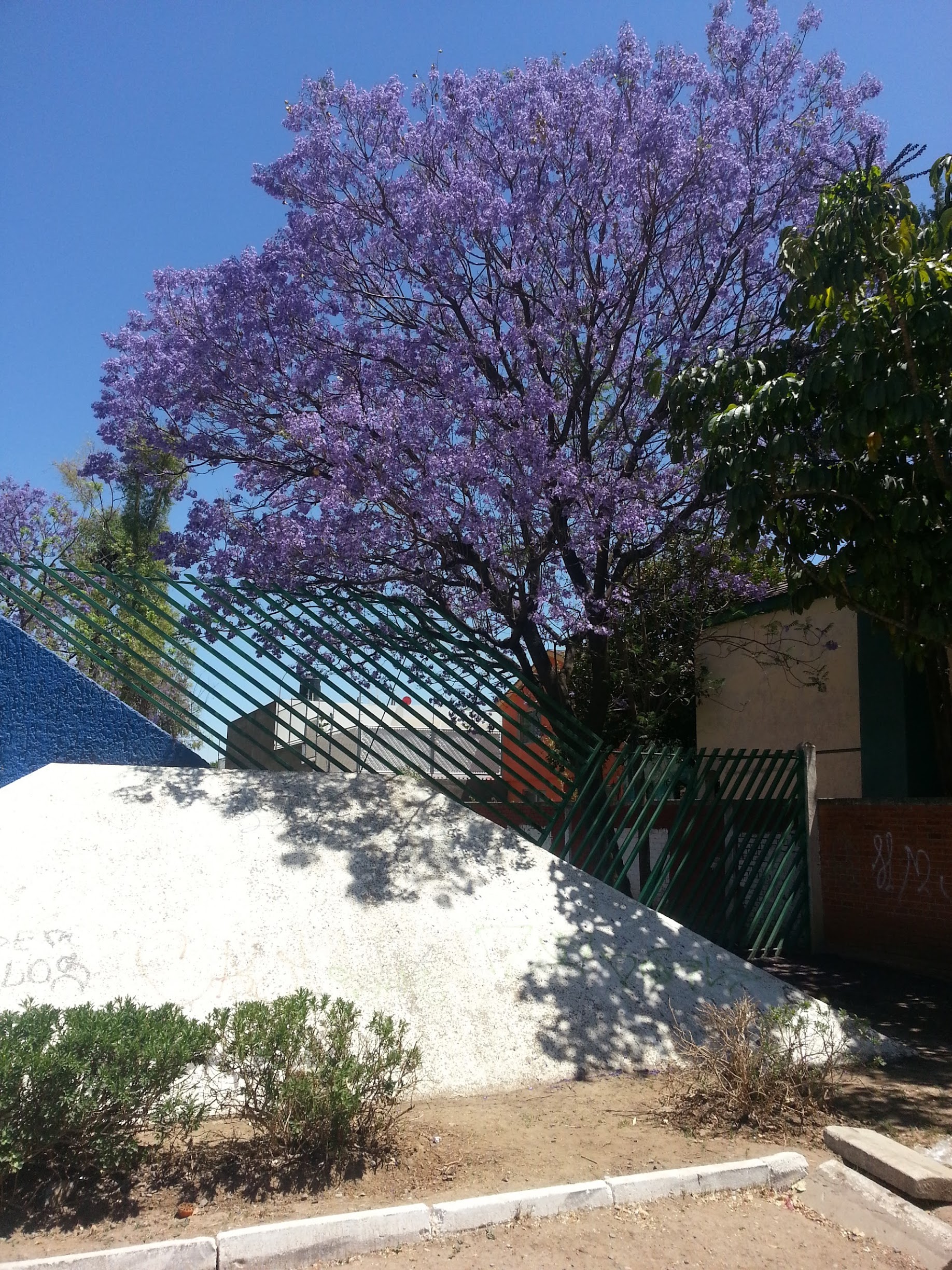 20130331_133707.jpg