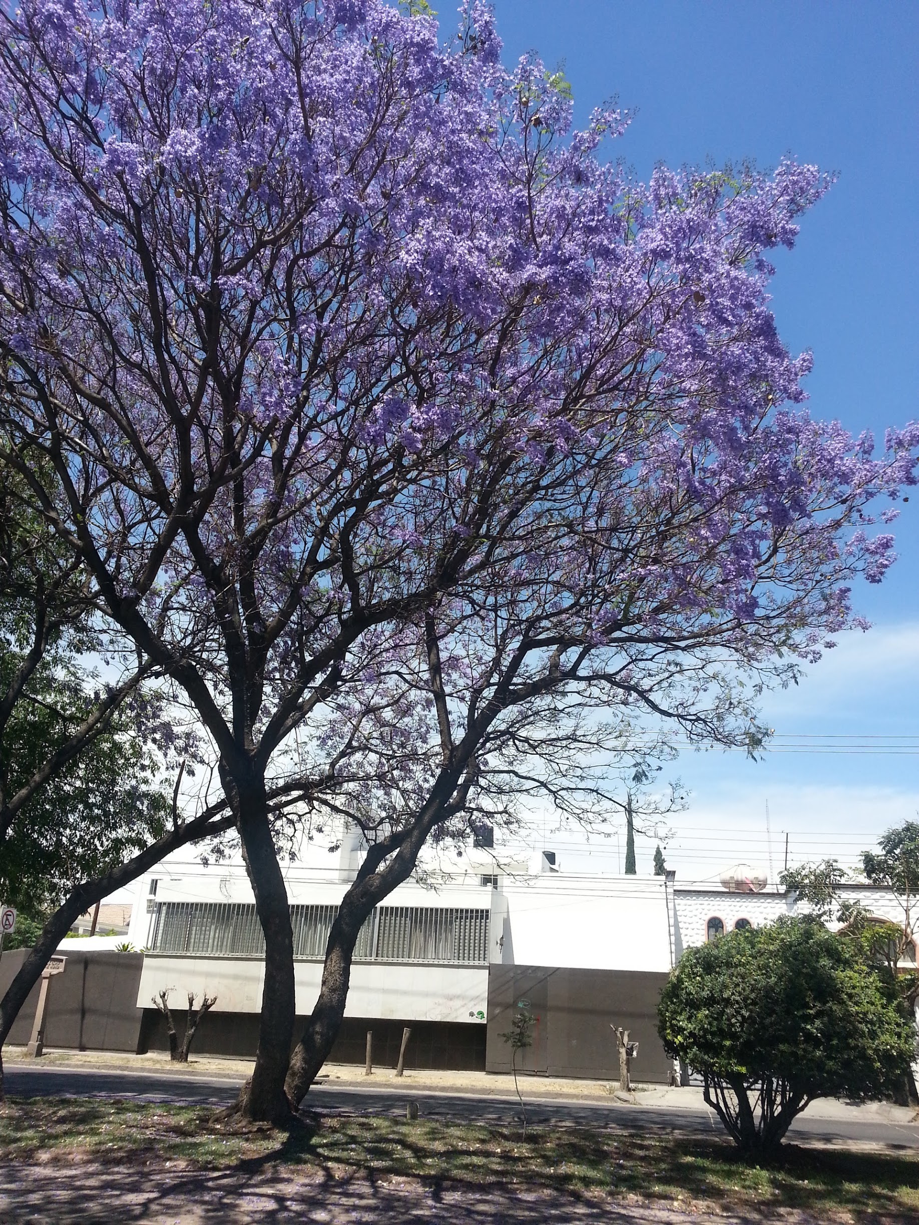 20130331_134255.jpg
