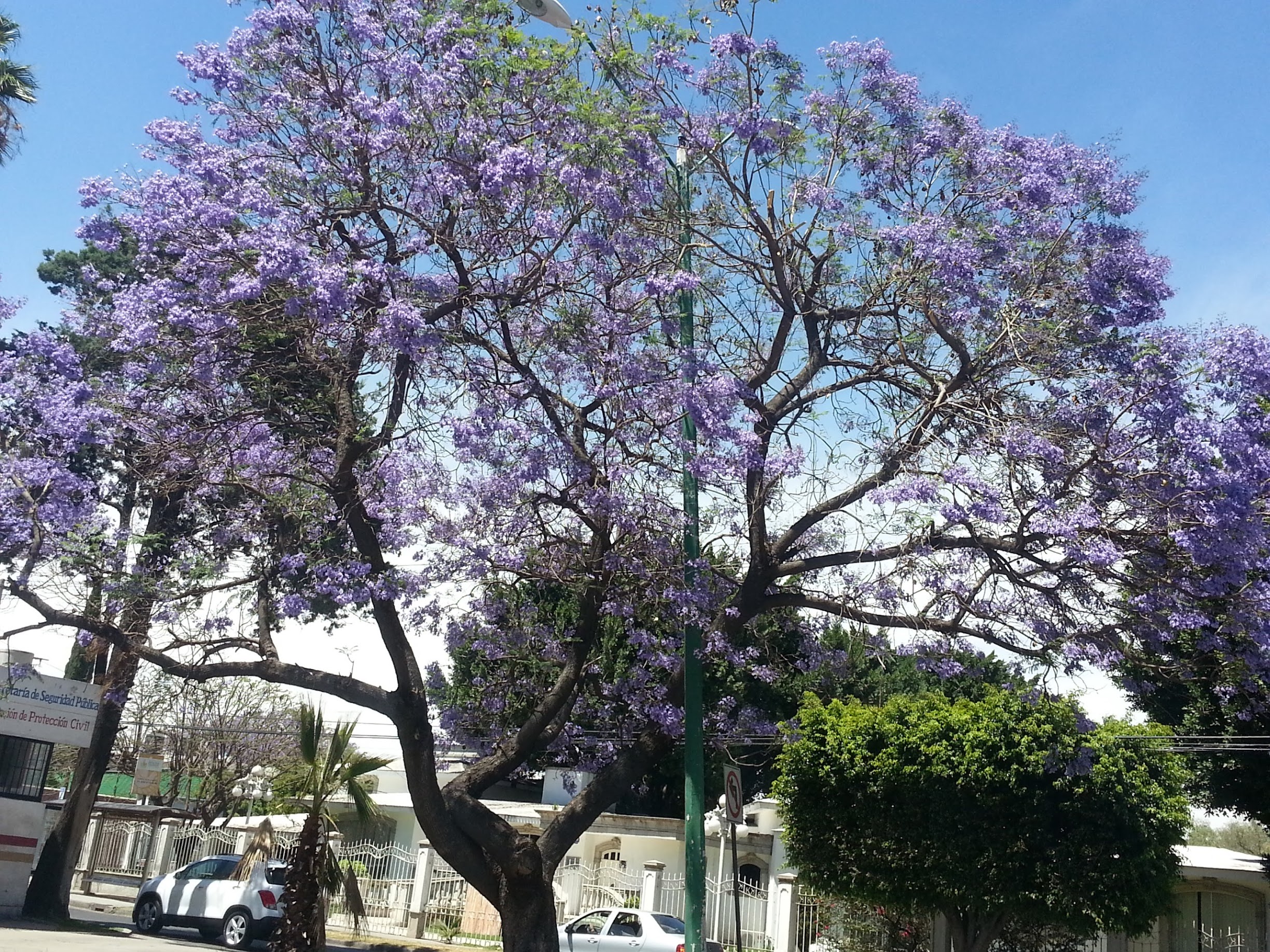 20130331_134859.jpg