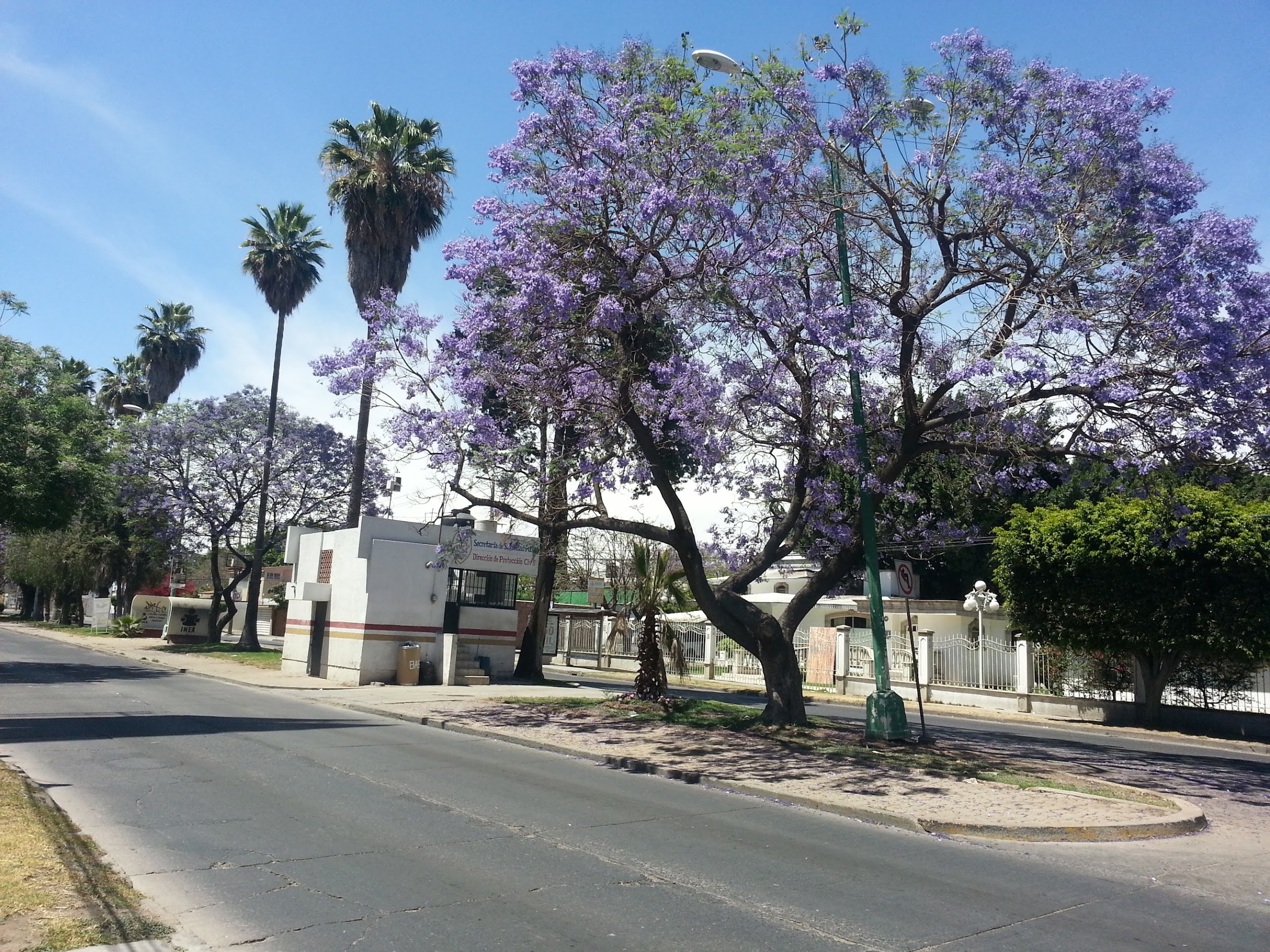 20130331_135030.jpg