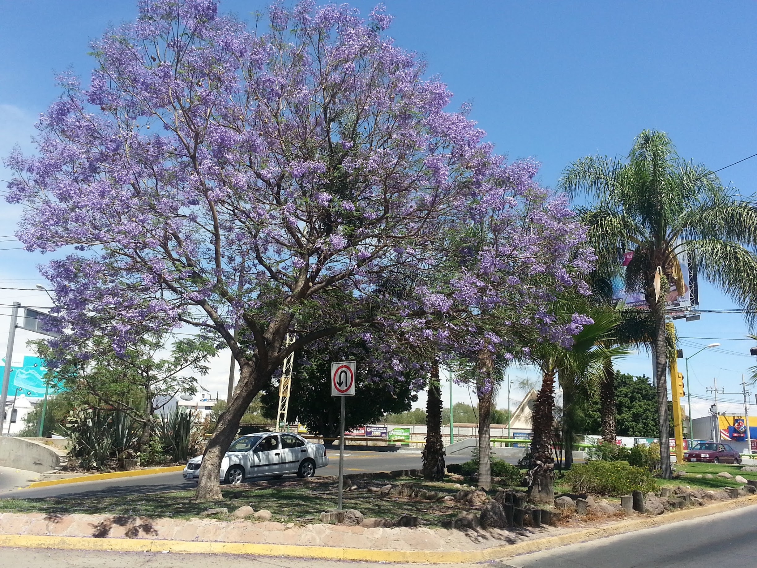 20130331_135039.jpg