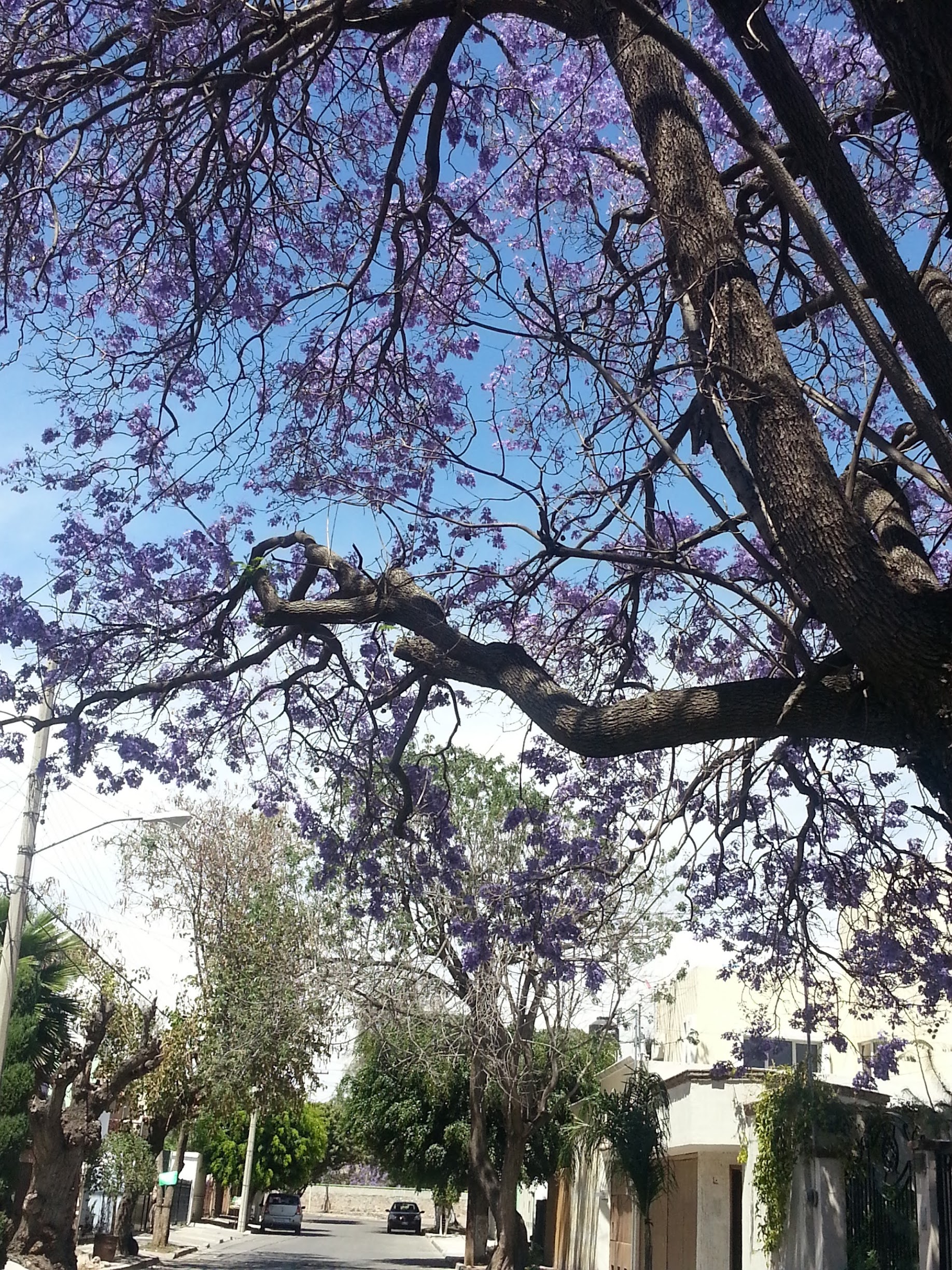 20130331_135739.jpg