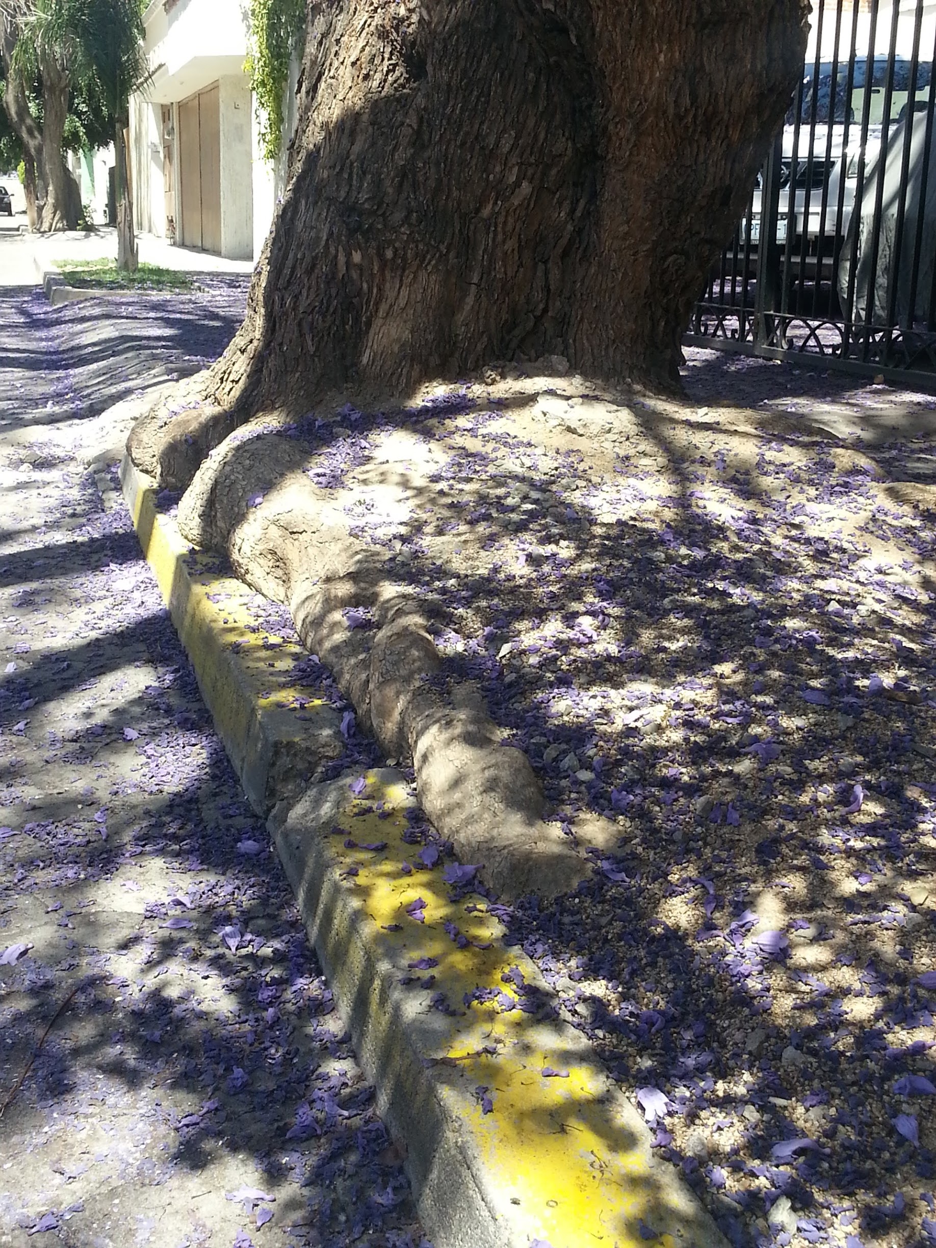 20130331_135804.jpg