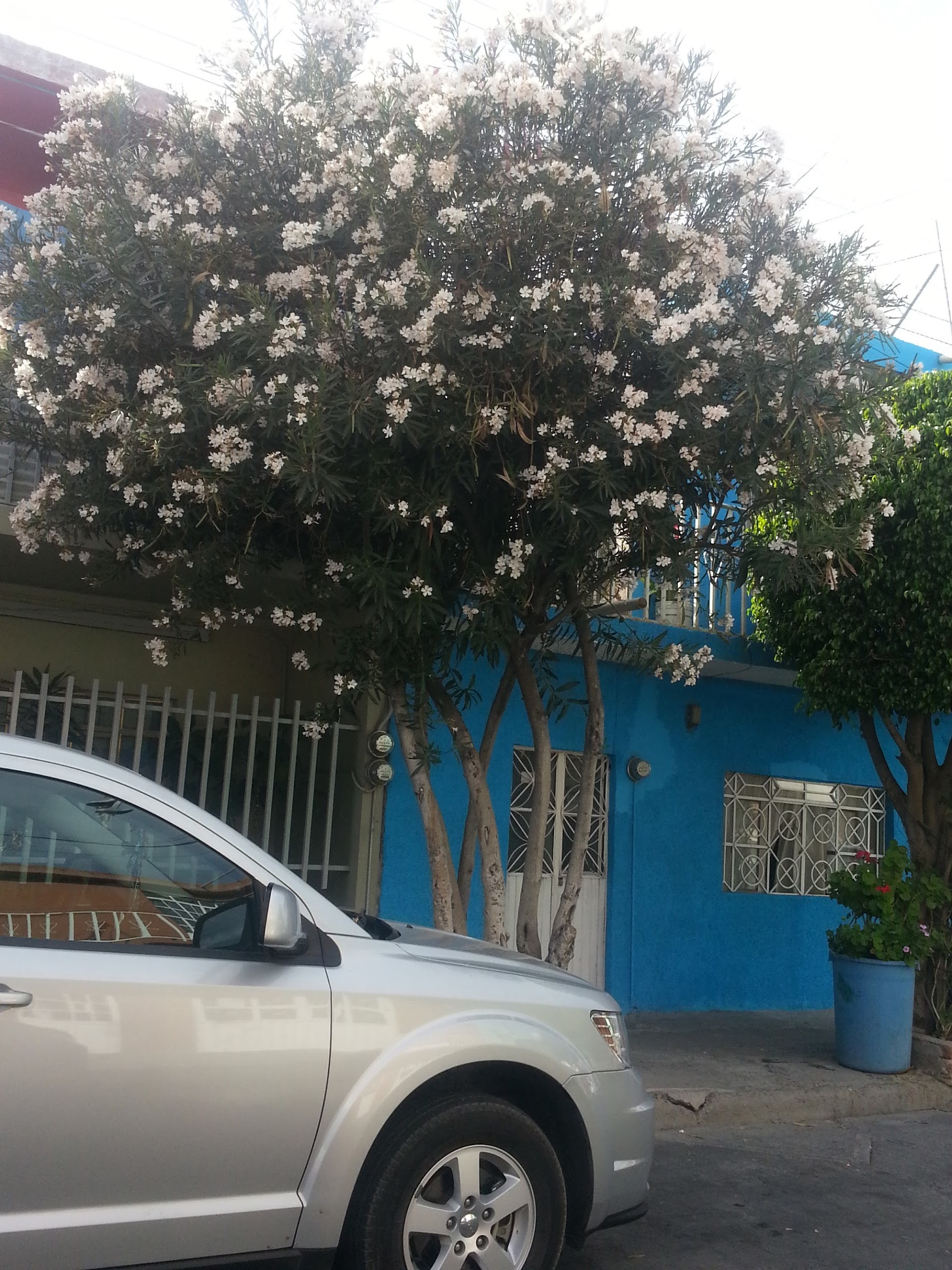 20130331_164546.jpg