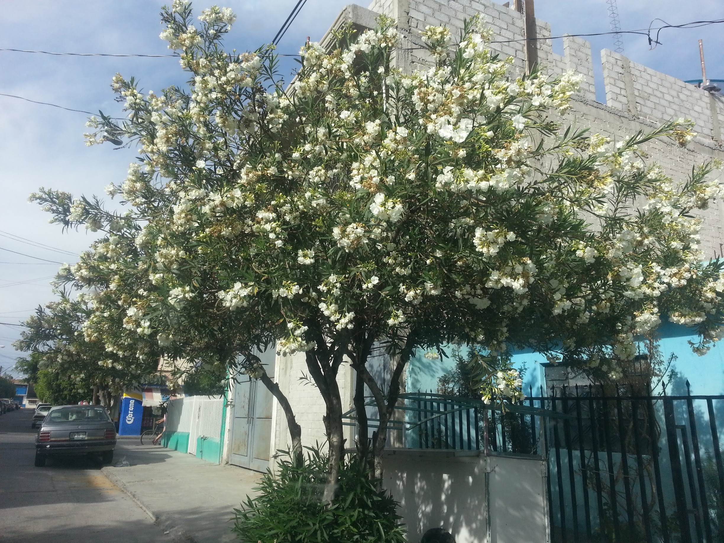 20130331_164626.jpg
