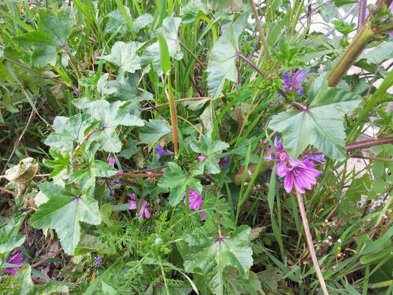 20130401_180907.jpg