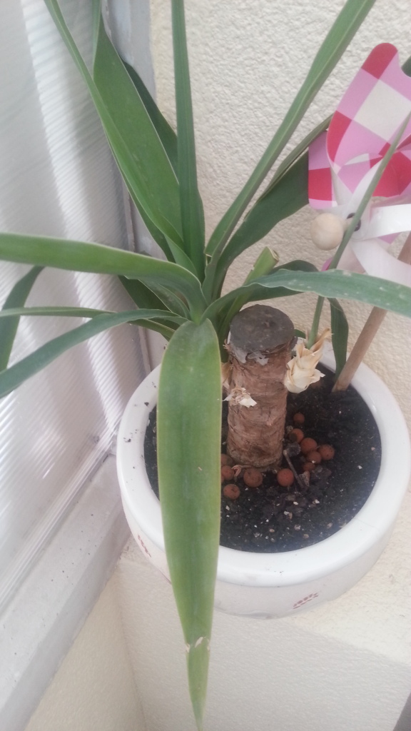 20130408_192526_zpse4de9f20.jpg