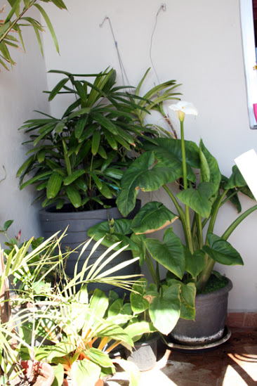 20130409_9.JPG