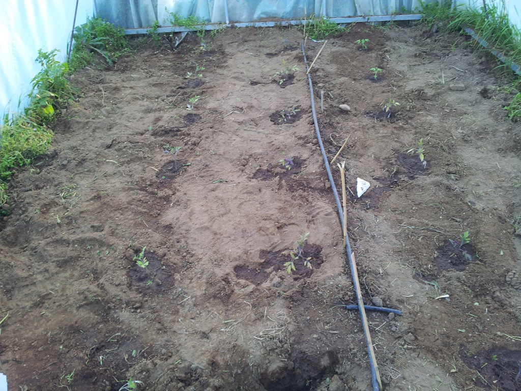 20130413_194341.jpg