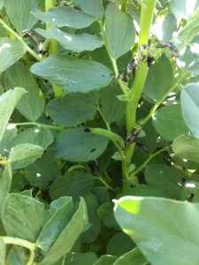 20130414-214215.jpg